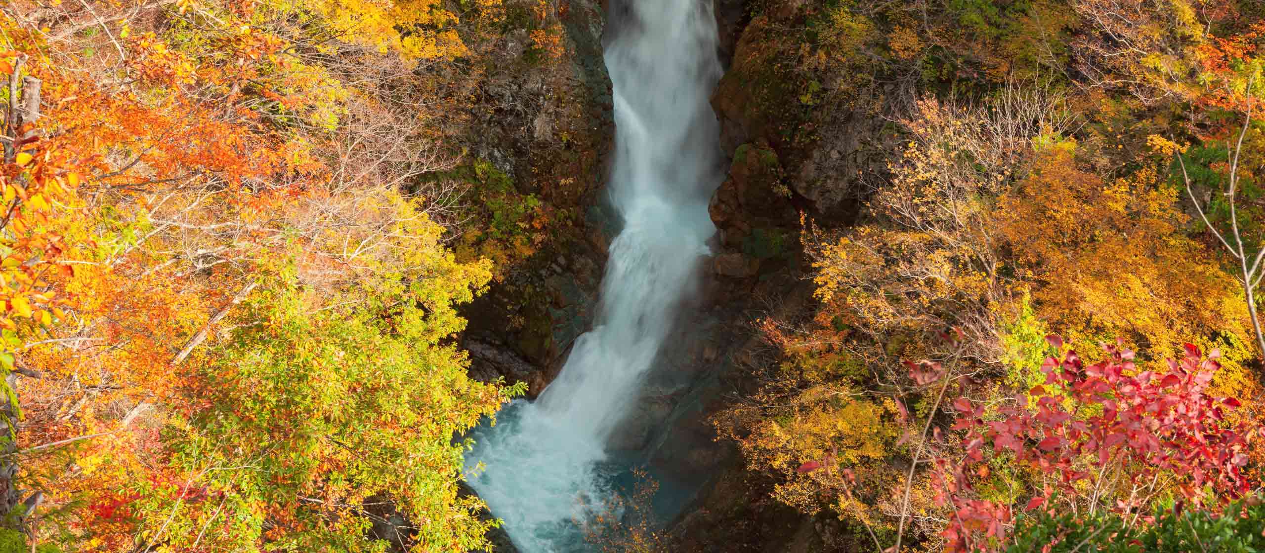 Shin-etsu Trail