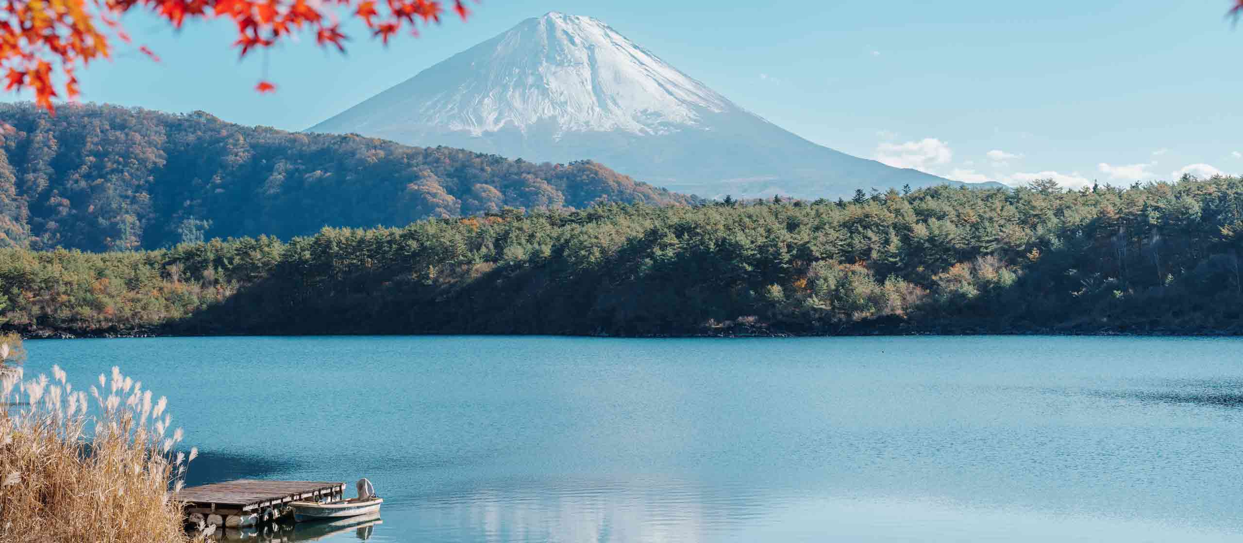 Mt Fuji & Hakone