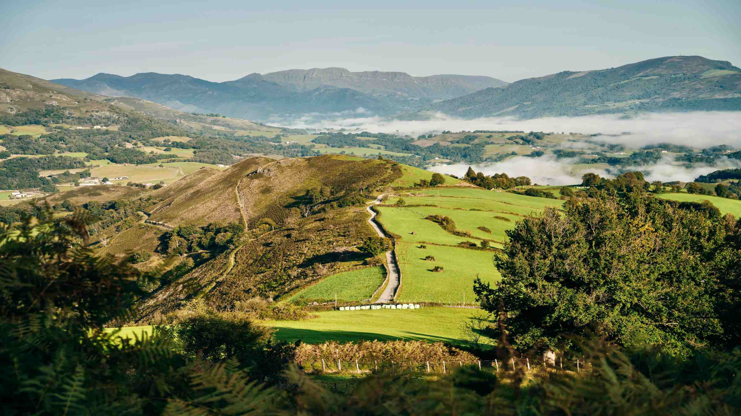 The Camino de Santiago