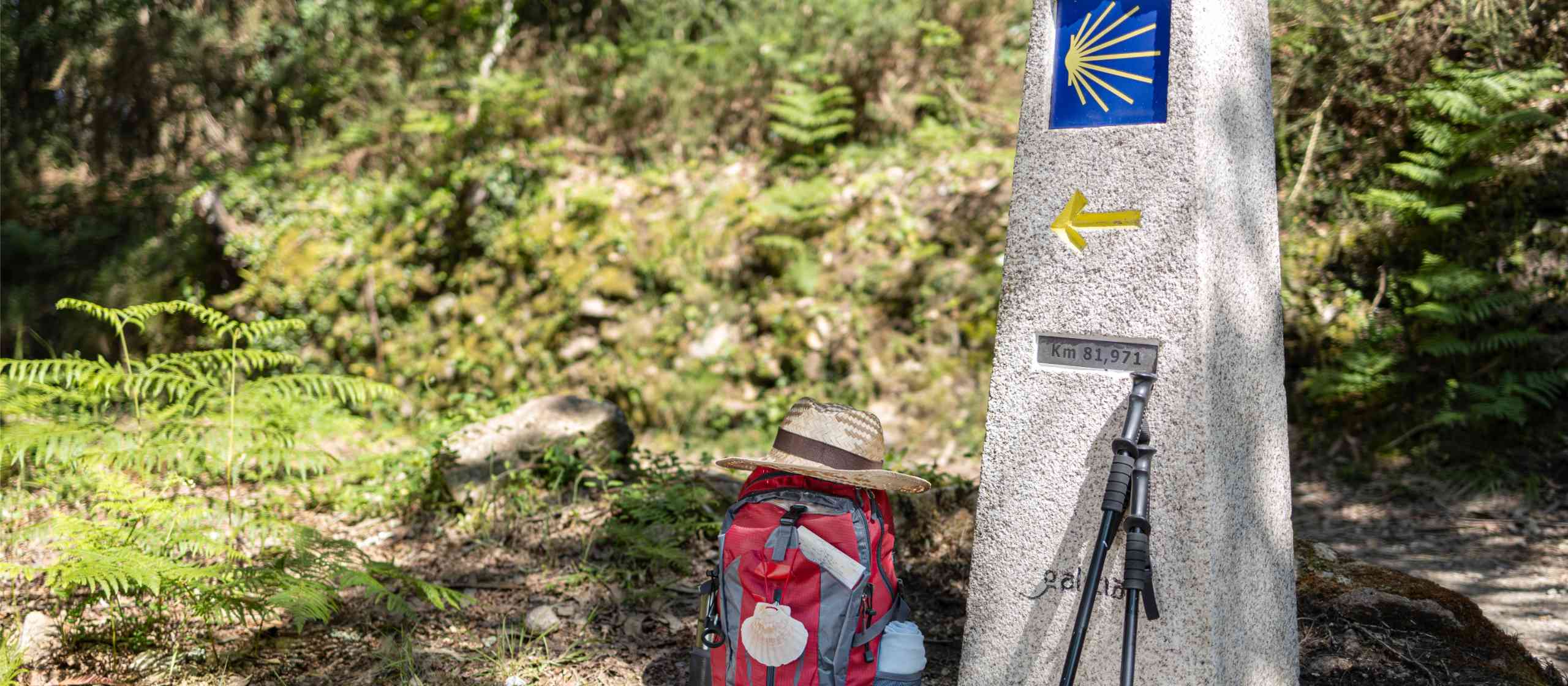 Camino de Santiago Accommodation
