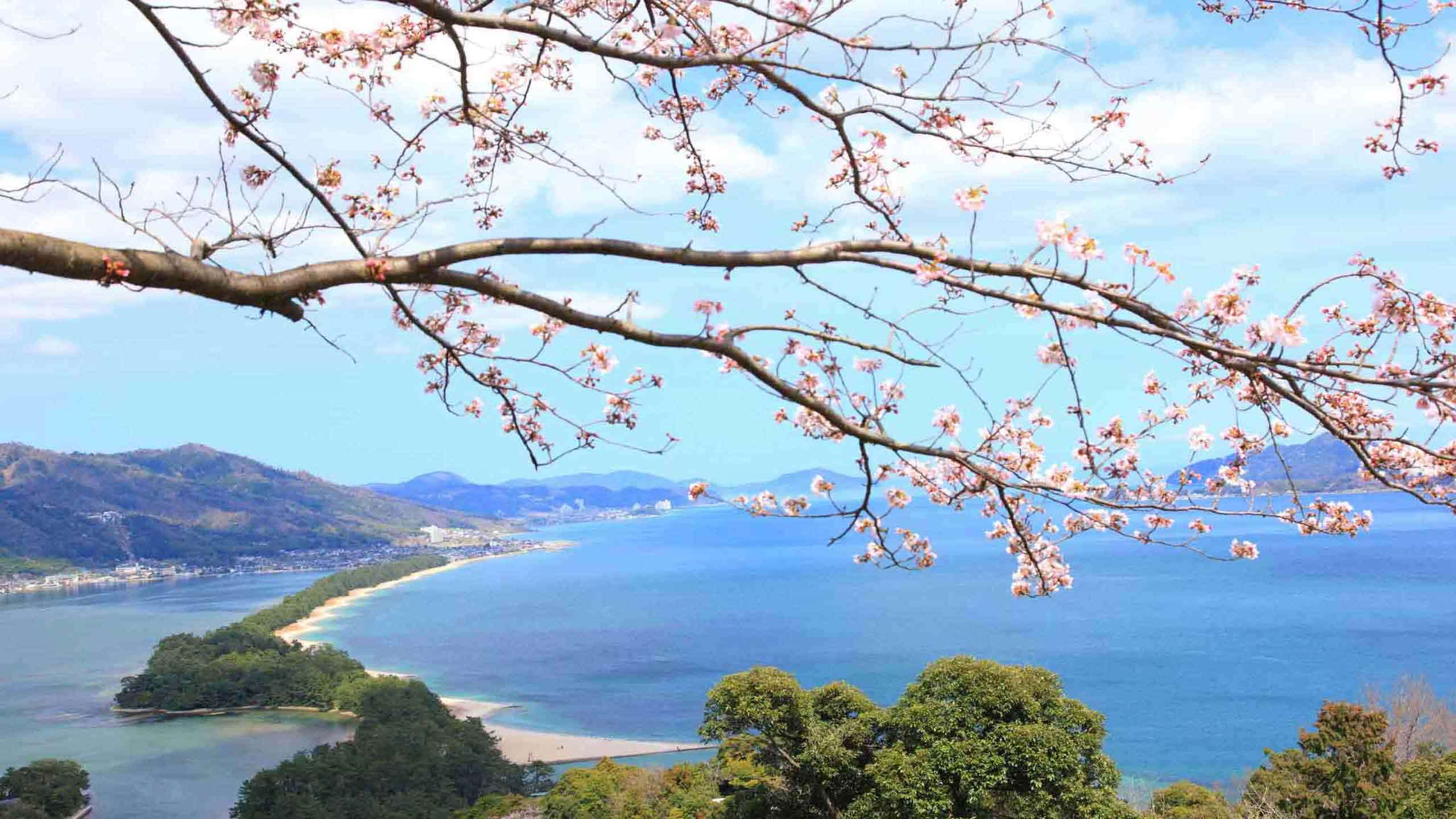 Best of Coastal Kyoto Walk 3D2N, Private Guided
