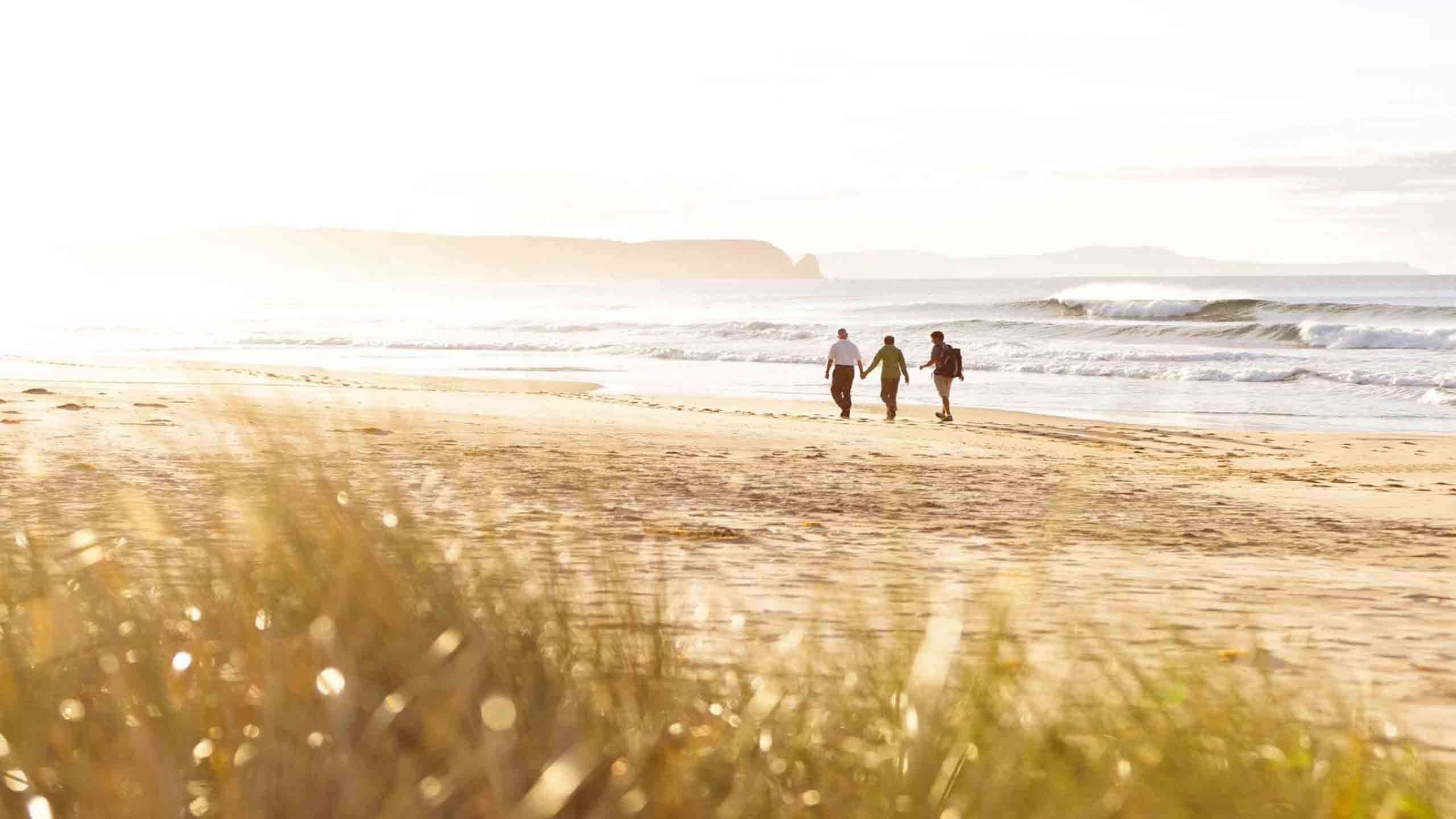 Bruny Island Gourmet Walk 3D2N (Glamping), Fully Guided