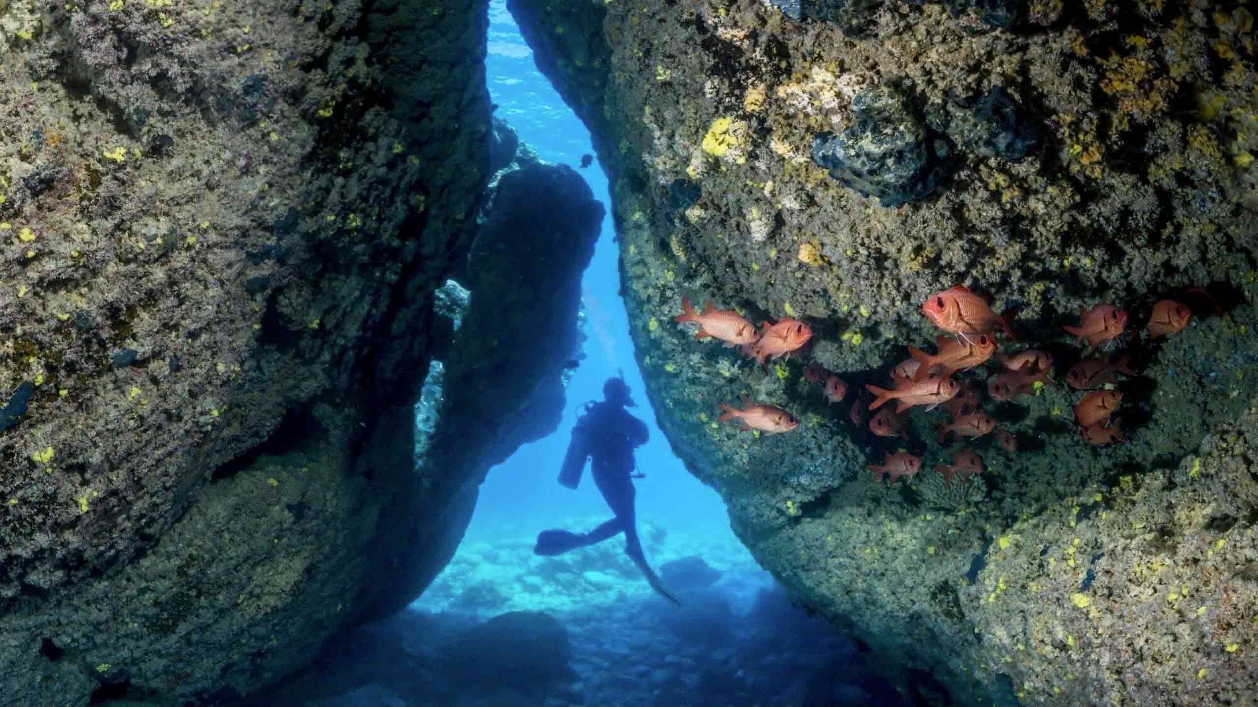 Best of Cook Islands Diving 9D8N