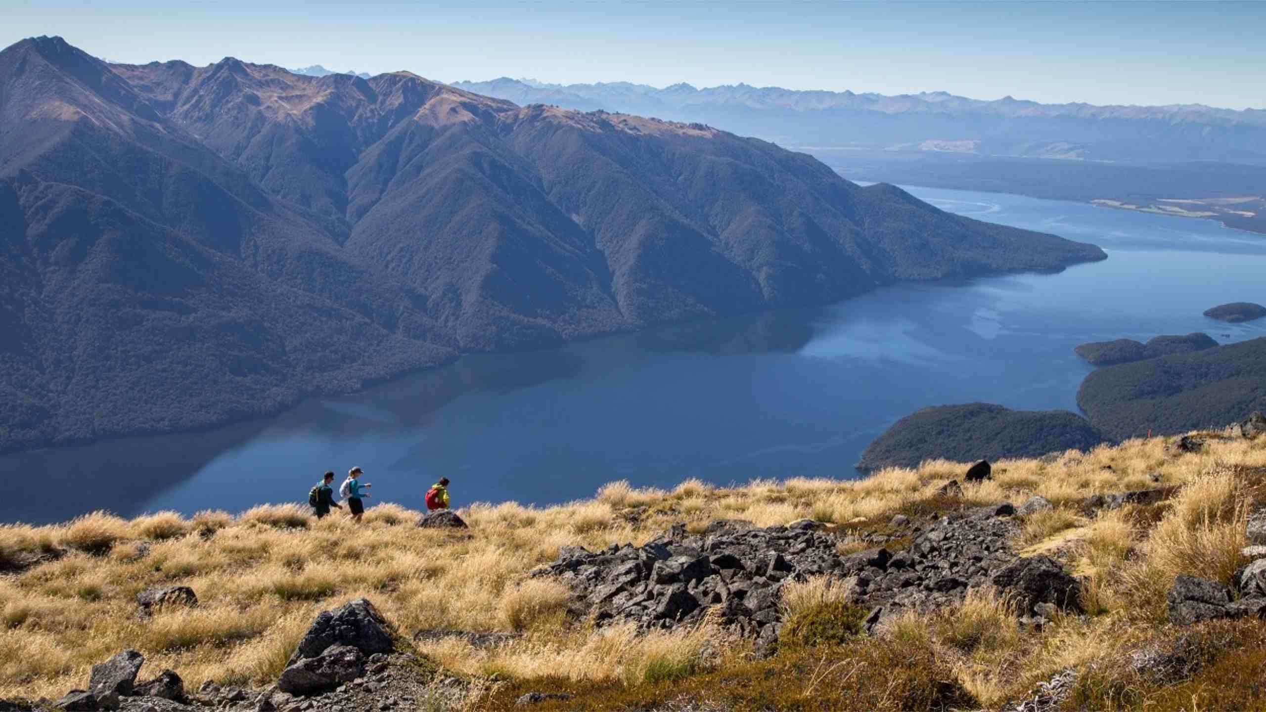 The Ultimate Luxury Fiordland Walk - Four Tracks, Milford Cruise & Heli Hike 4D3N, Fully Guided