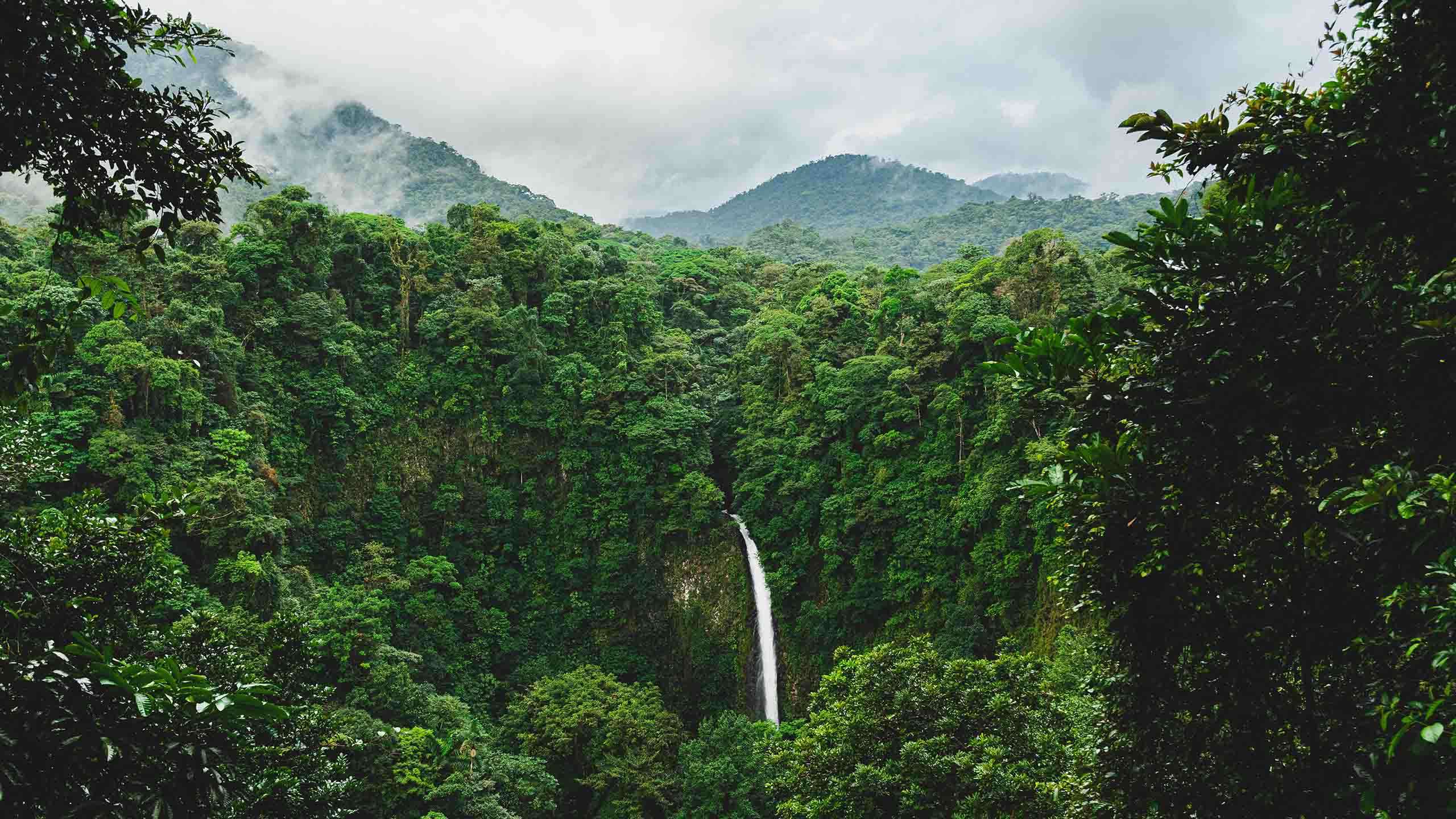 Costa Rica Luxury Bike (Arenal Volcano To The Osa Peninsula) 6D5N, Fully Guided