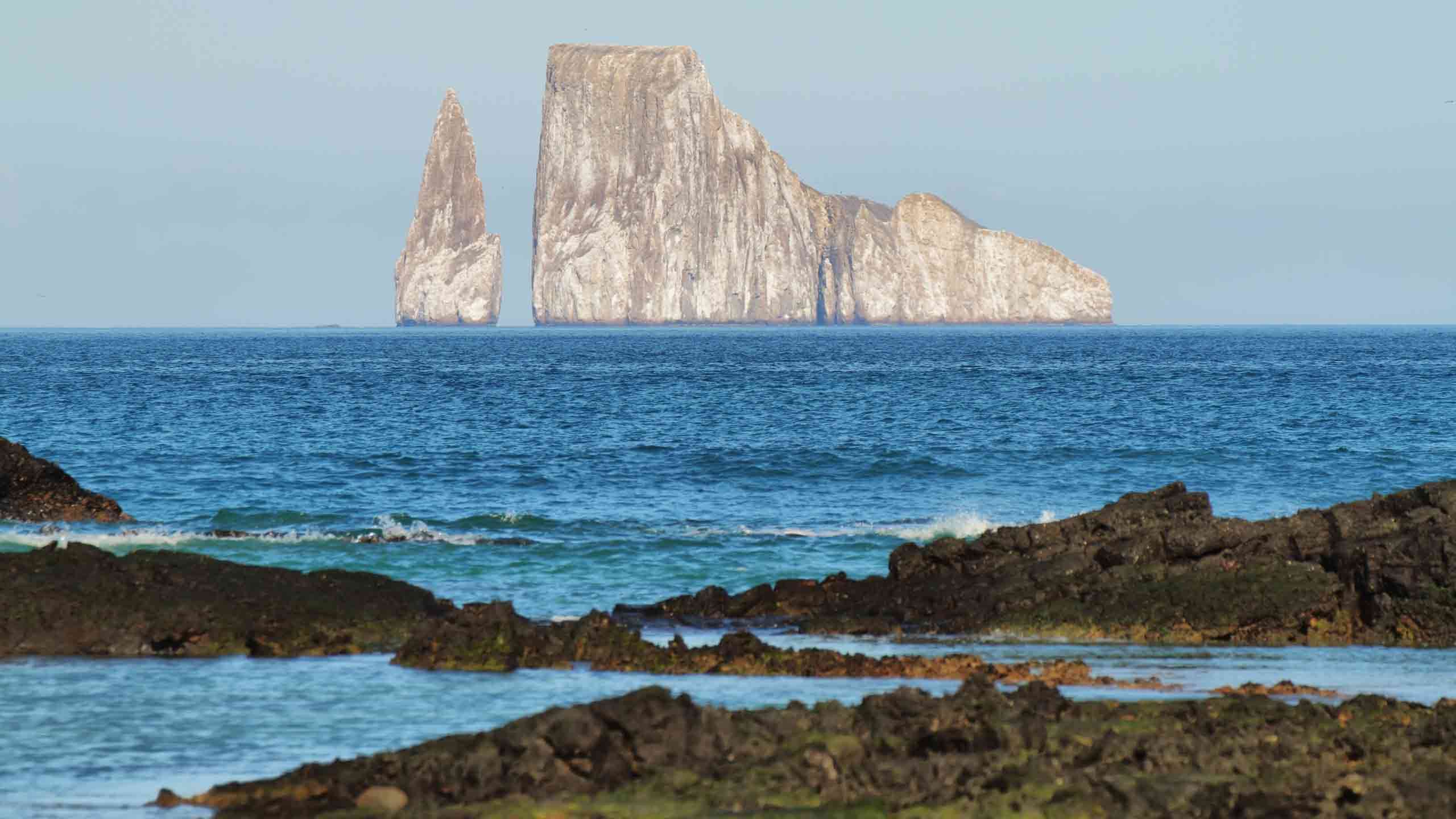 The Best of Galapagos’ Southeast Luxury Cruise (Lobos Island to Baltra Island) 5D4N