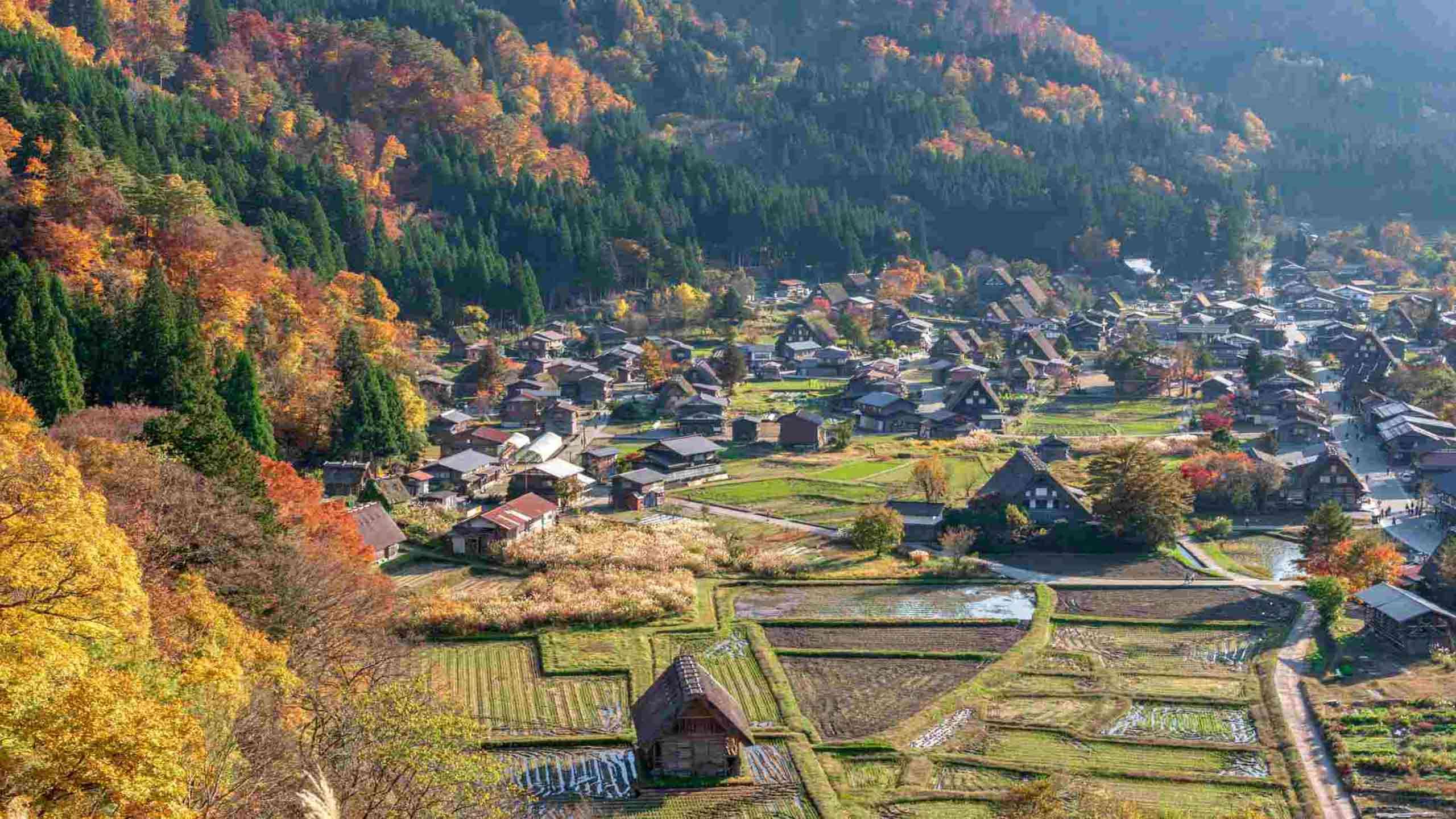 Japan Alps Villages Walk & Cycle 4D3N, Fully Guided