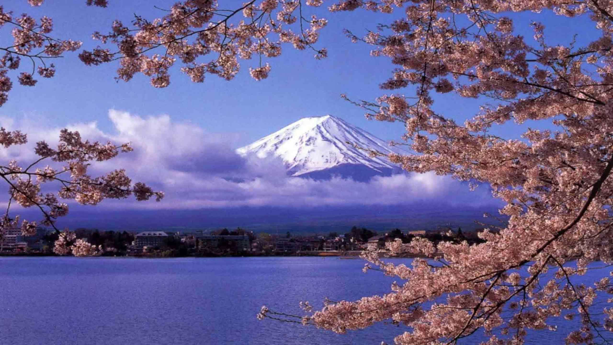 Luxury Mt Fuji Walk (Ochudo Trail) & Lake Yamanakako Cycle 2D1N, Fully Guided