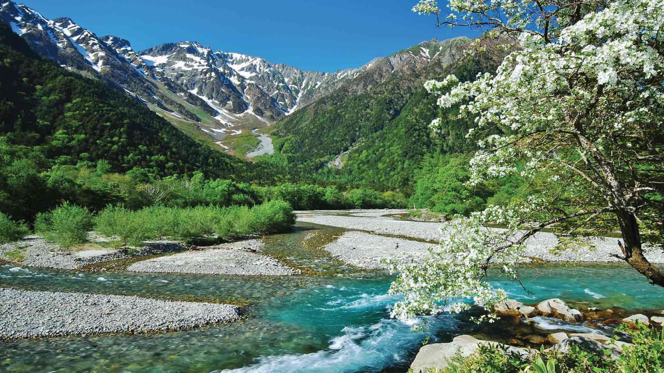 Best of Kamikochi & Alps Walk 2D1N, Private Guided