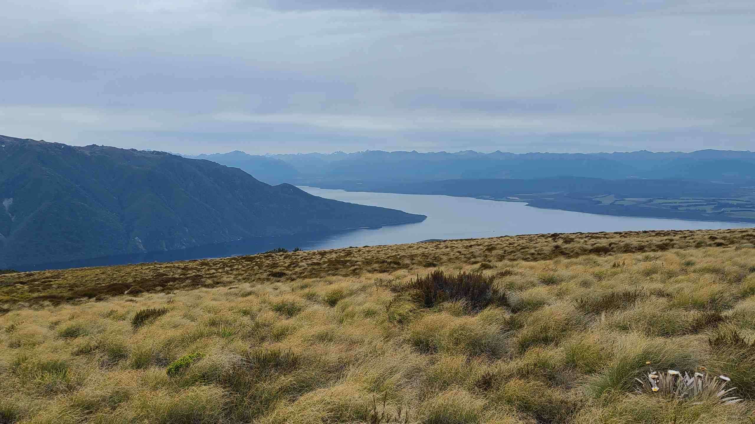 Great Walks of Fiordland - Three Tracks, Heli Hike & Milford Sound Cruise 3D2N, Fully Guided