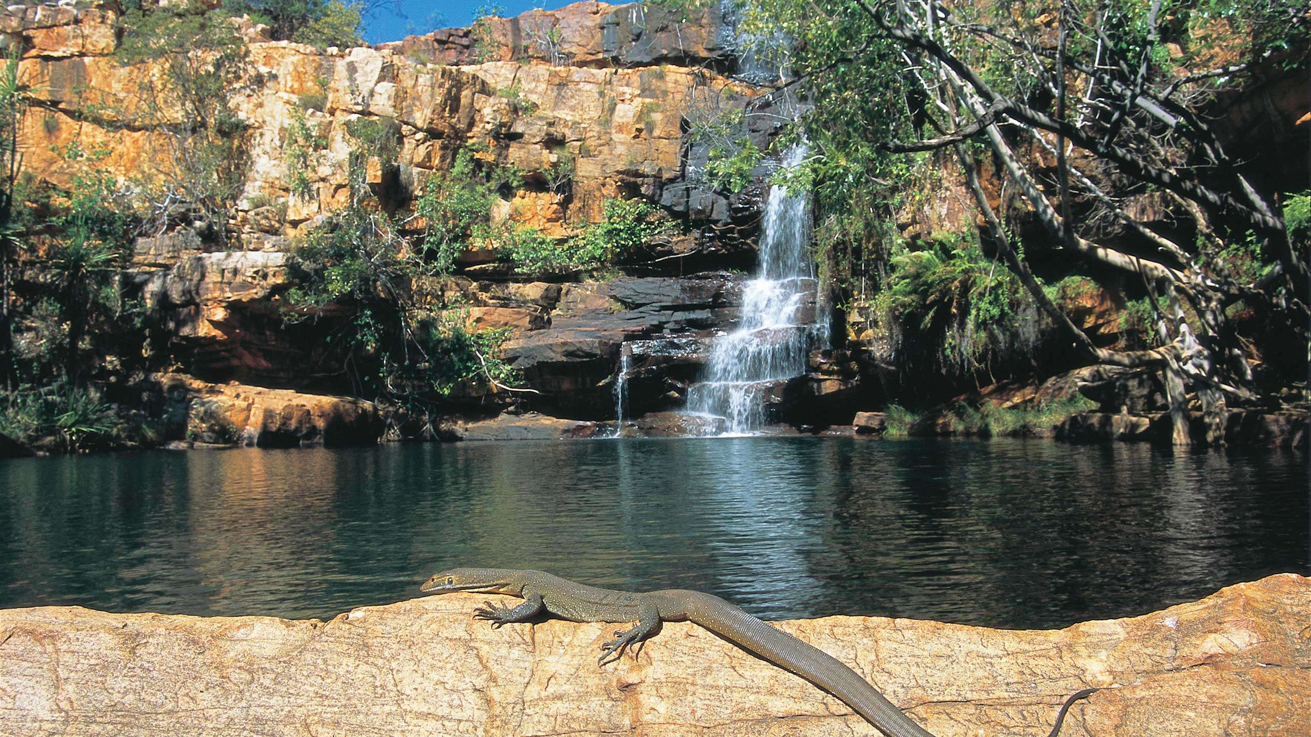 Wild Kimberley Loop Trail incl. Mitchell Plateau 14D13N (Broome - Broome), Fully Guided & Camping in Comfort