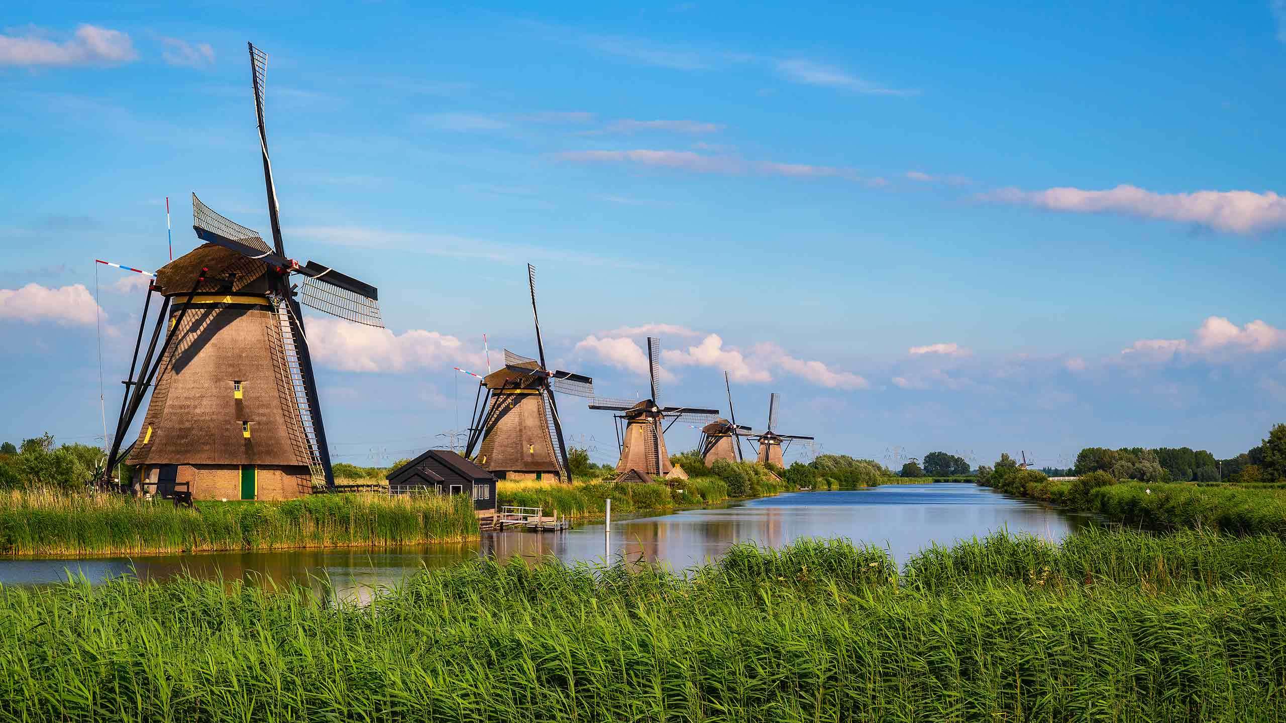 Luxury Dutch & Belgian Waterways River Cruise & Bike (Tulip Time From Amsterdam To Bruges) 8D7N, Fully Guided            