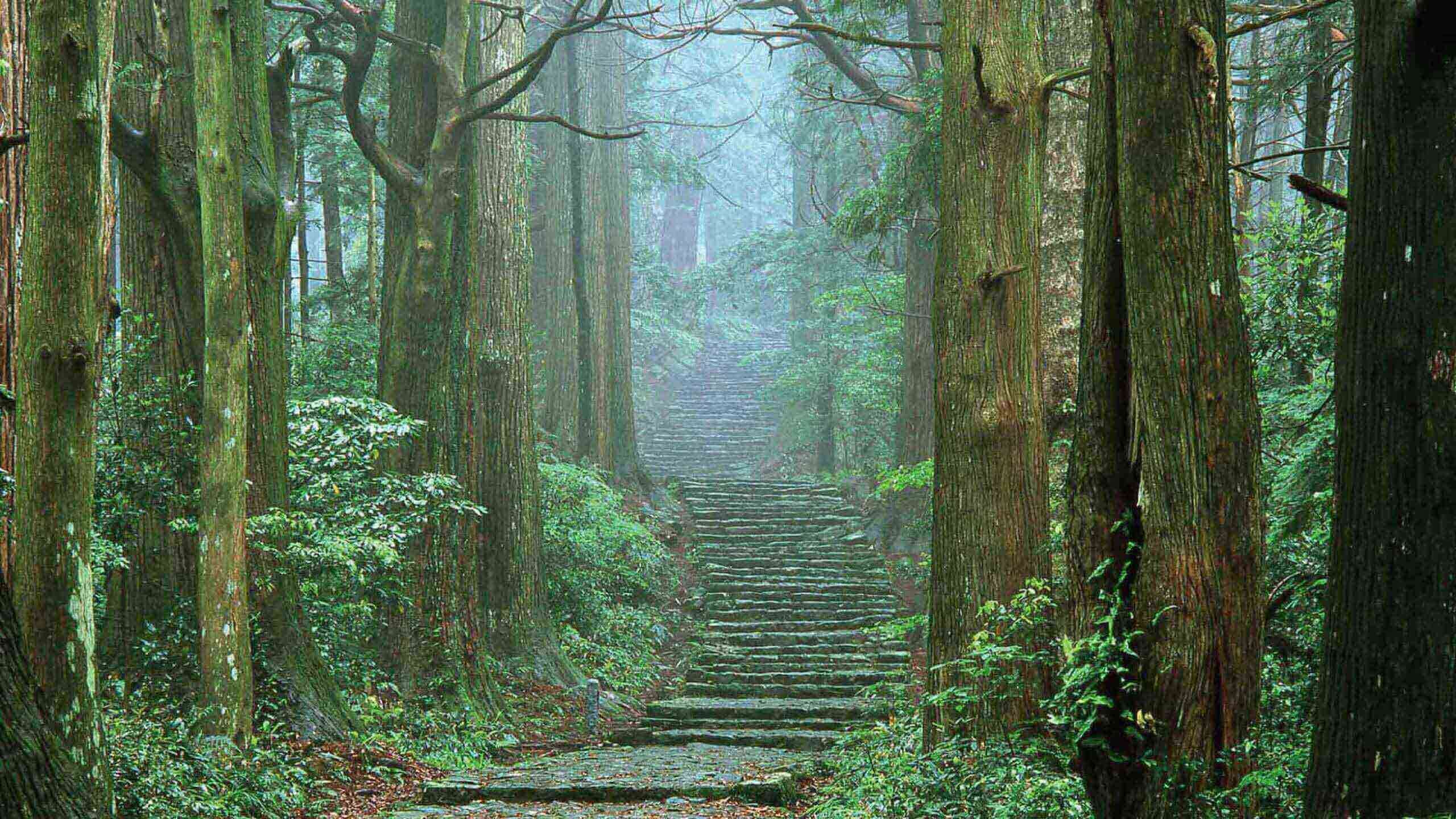 Kumano Kodo Luxury Walk In Comfort Mountain to Sea 3D2N, Private Guided