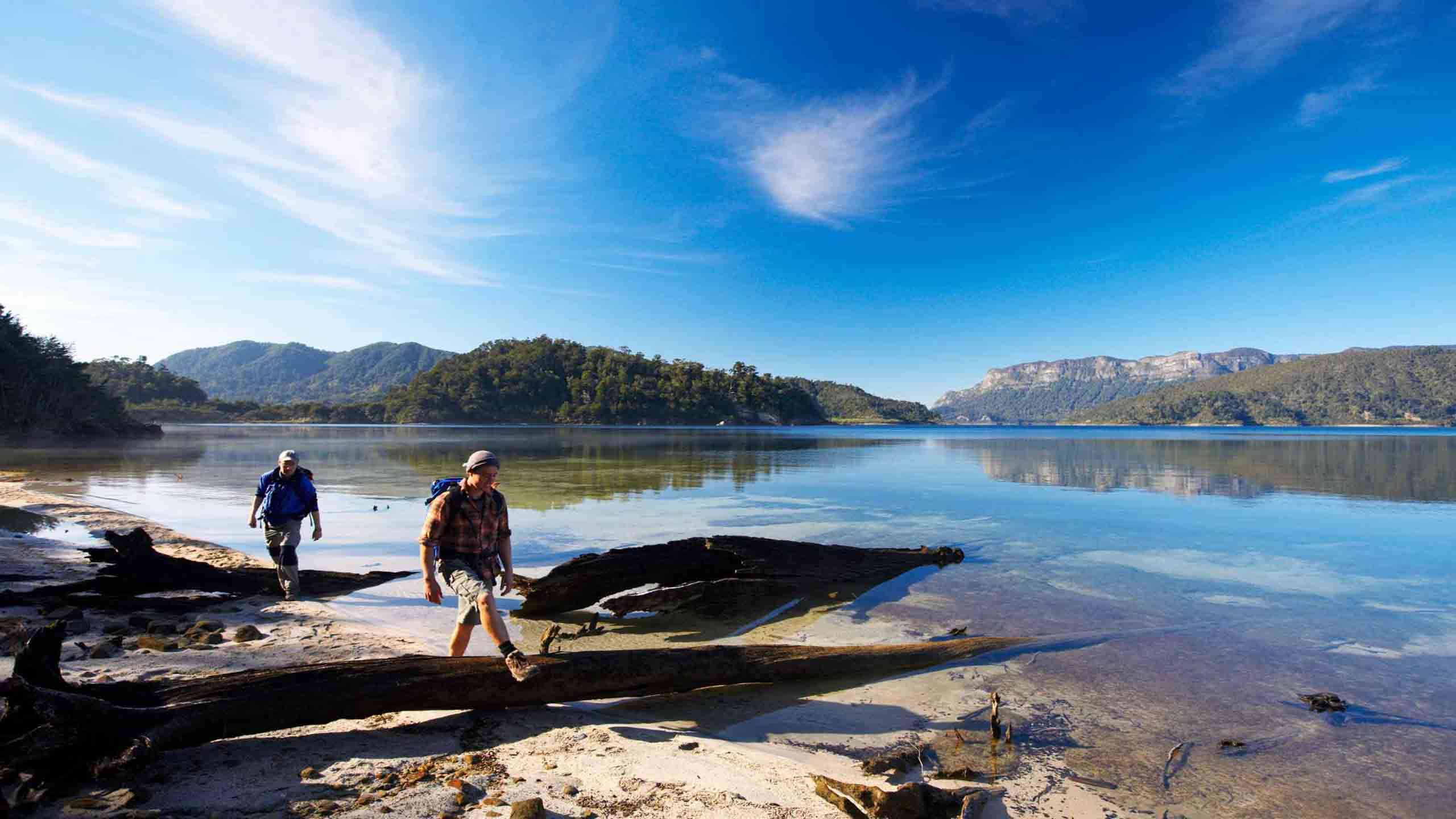 Lake Waikaremoana Lodge Walk 4D3N, Fully Guided