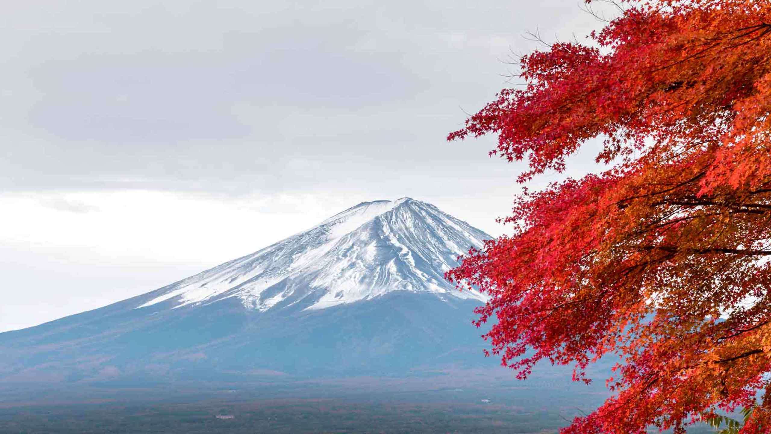 Classic Mt Fuji Fujinomiya Trail Hike & Cycle 2D1N, Fully Guided