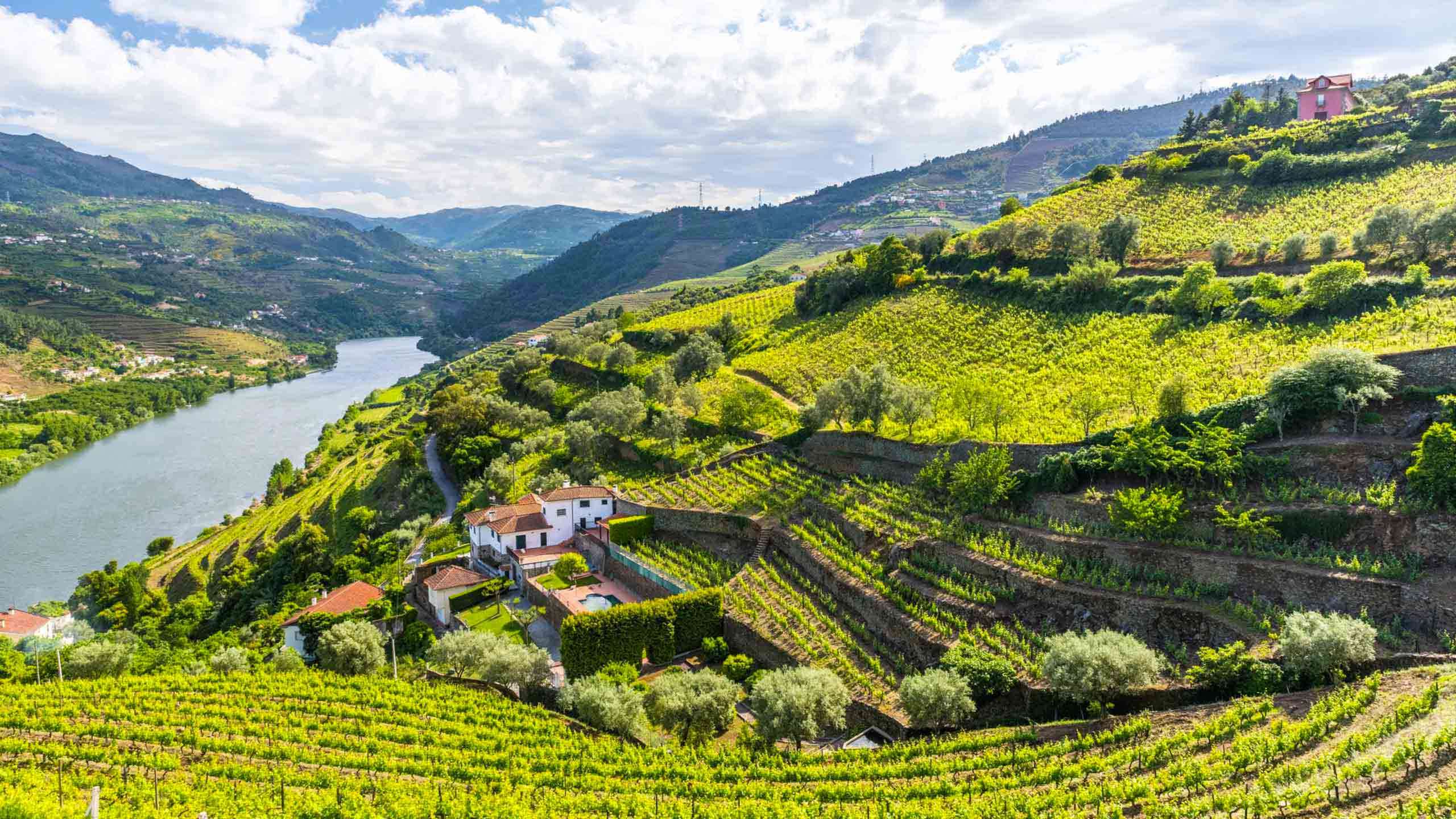  Luxury Northern Portugal & Douro Valley Cycle 6D5N (Ancient Porto & Valley Vineyards), Fully Guided 