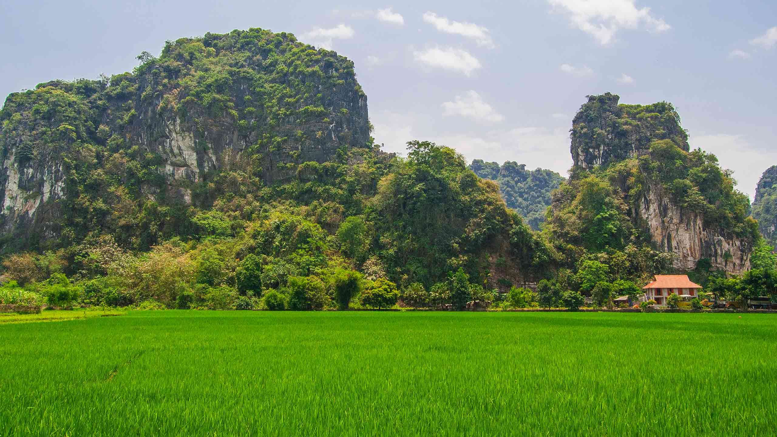 Northern Vietnam Bike & Hike 8D7N (Limestone Karsts & Villages), Fully Guided