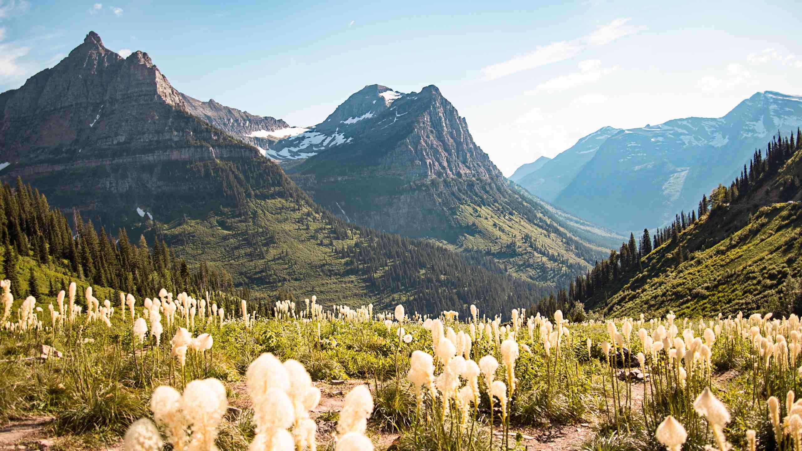Montana's Glacier National Park to Canadian Rockies Walk 6D5N, Fully Guided