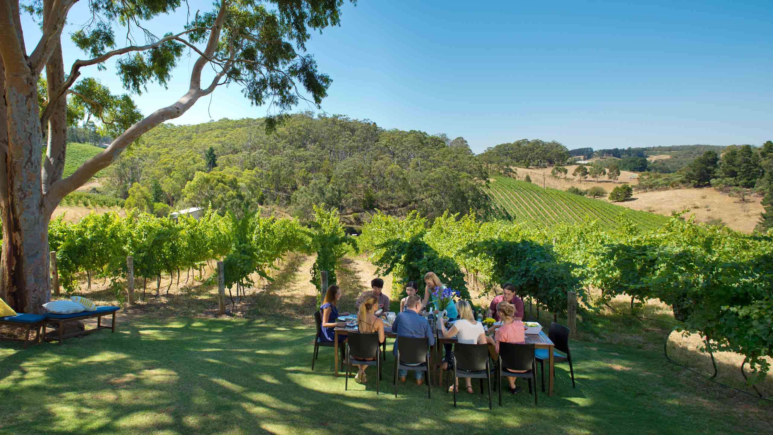 adelaide hills wine tour itinerary