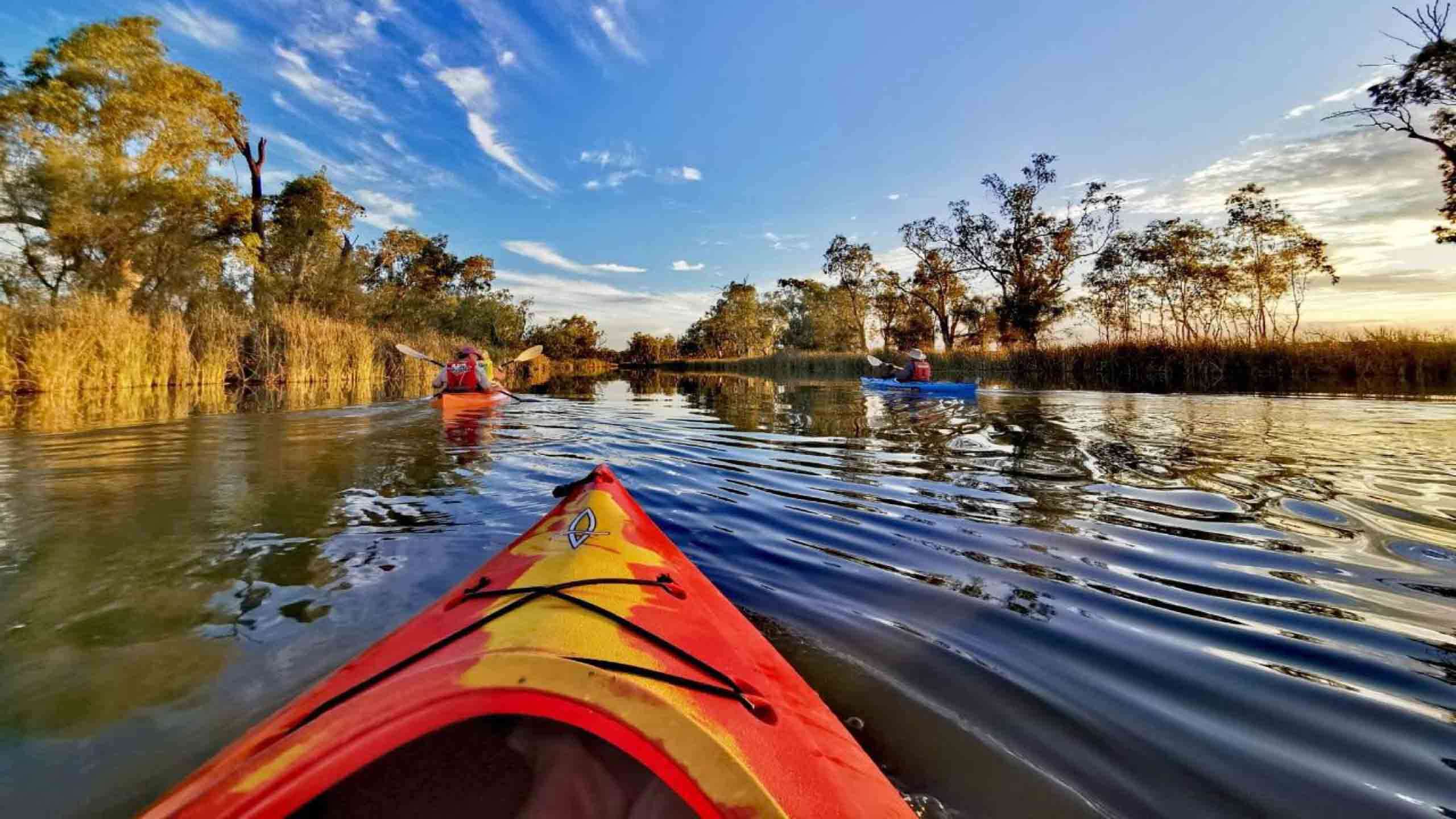 The Murray River Ultimate Luxury Cruise, Walk & Kayak 3D2N, Fully Guided