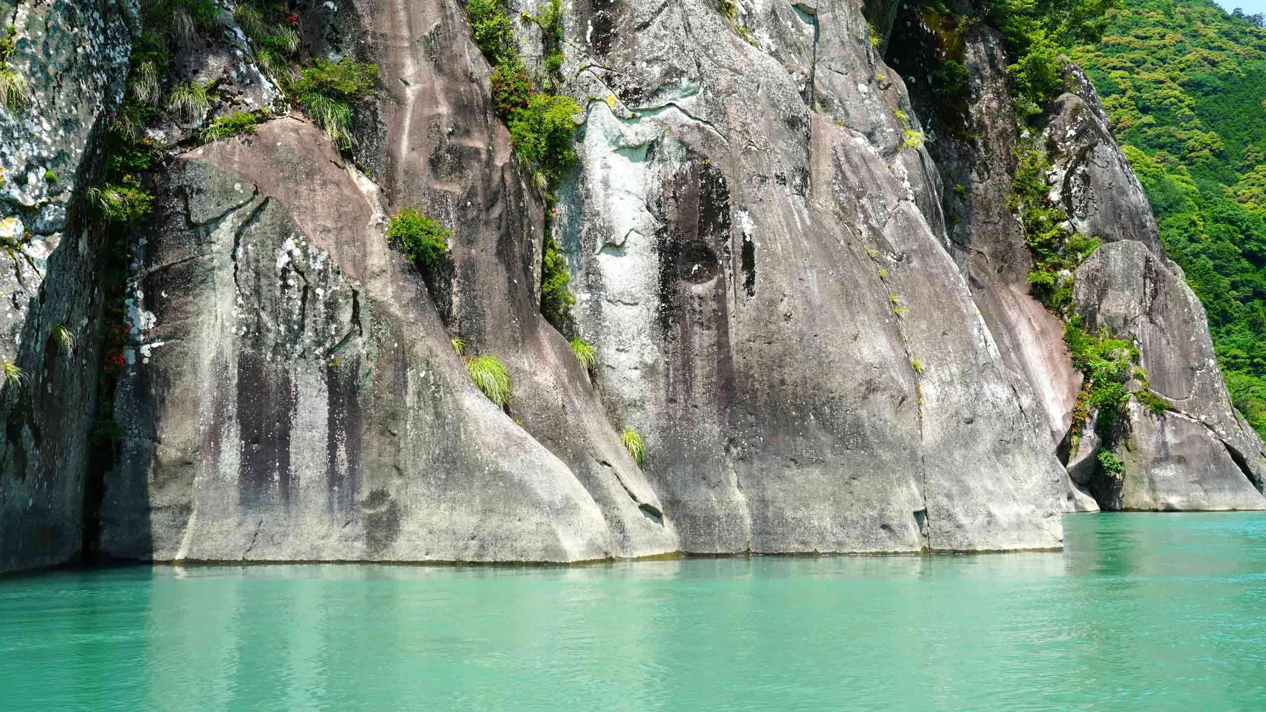 Best of Kumano Kodo Mountain to Sea Walk & Cruise 5D4N, Self Guided