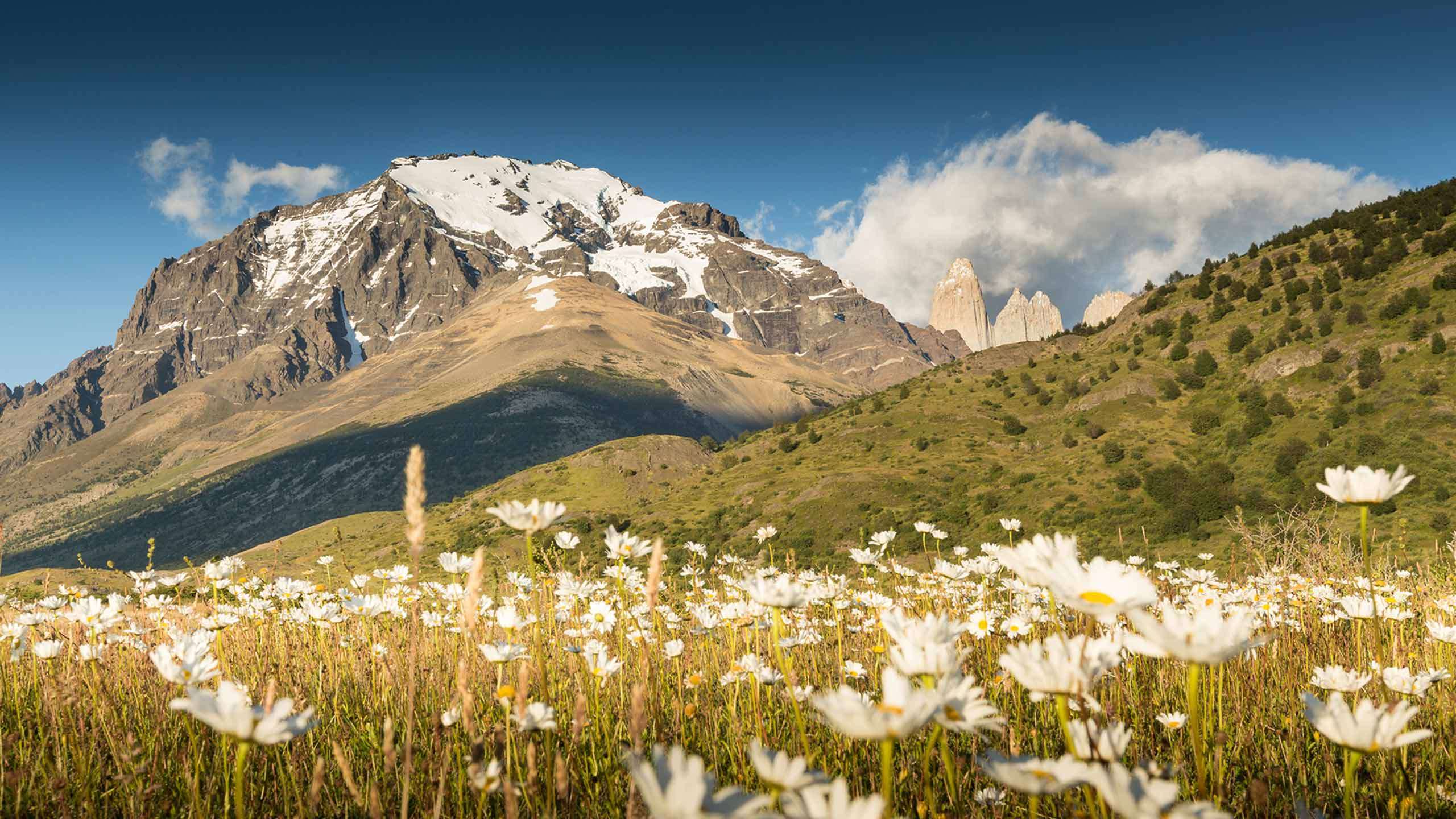 Torres Del Paine Circuit O Trek Walk & Camp 9D8N, Guided