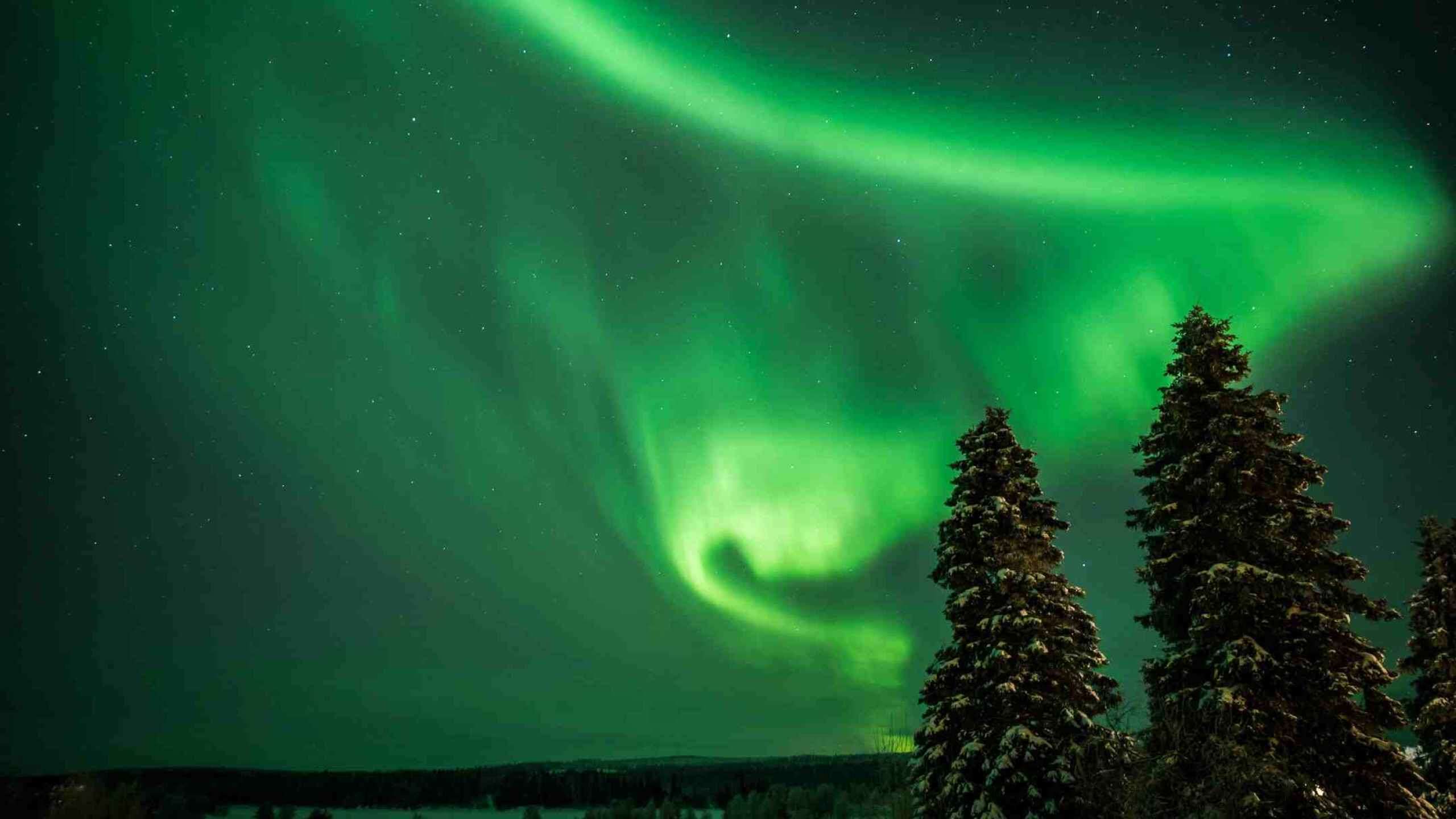 Sweden’s Arctic Circle Aurora Winter Adventure 8D7N, Fully Guided