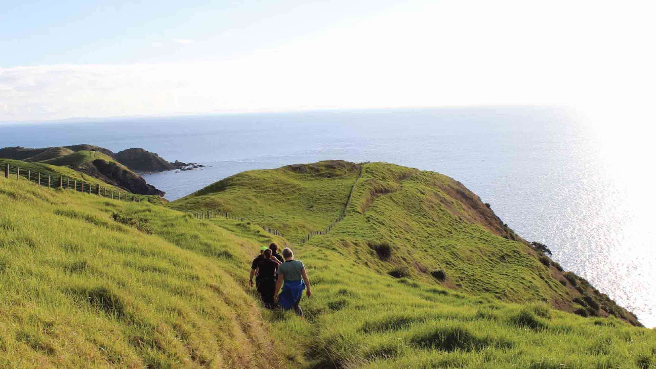 Best of The Coromandel Luxury Lodge Walk 3D2N, Private Guided