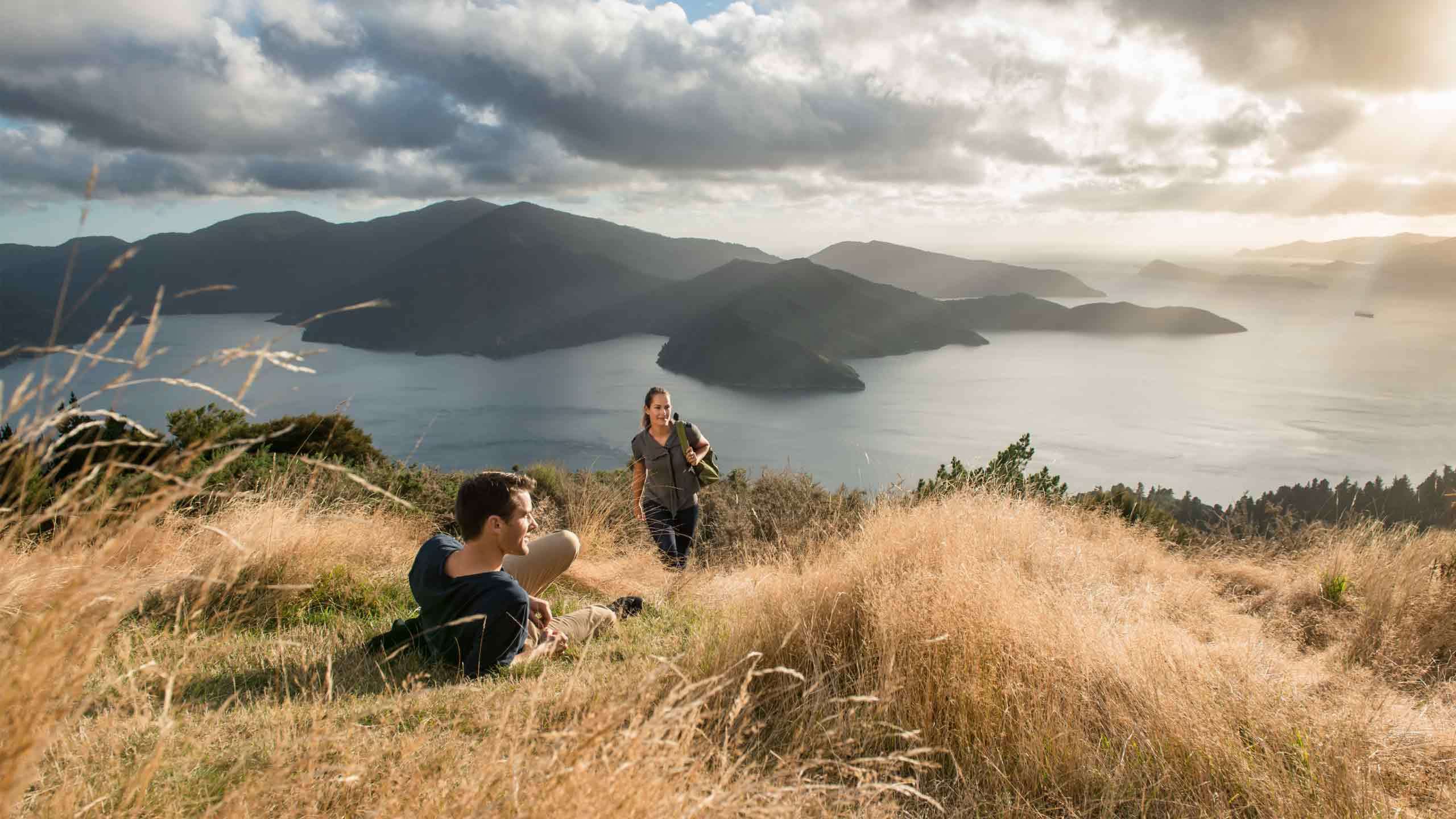 Queen Charlotte Track Lodge to Lodge Walk 4D3N, Guided & Small Group