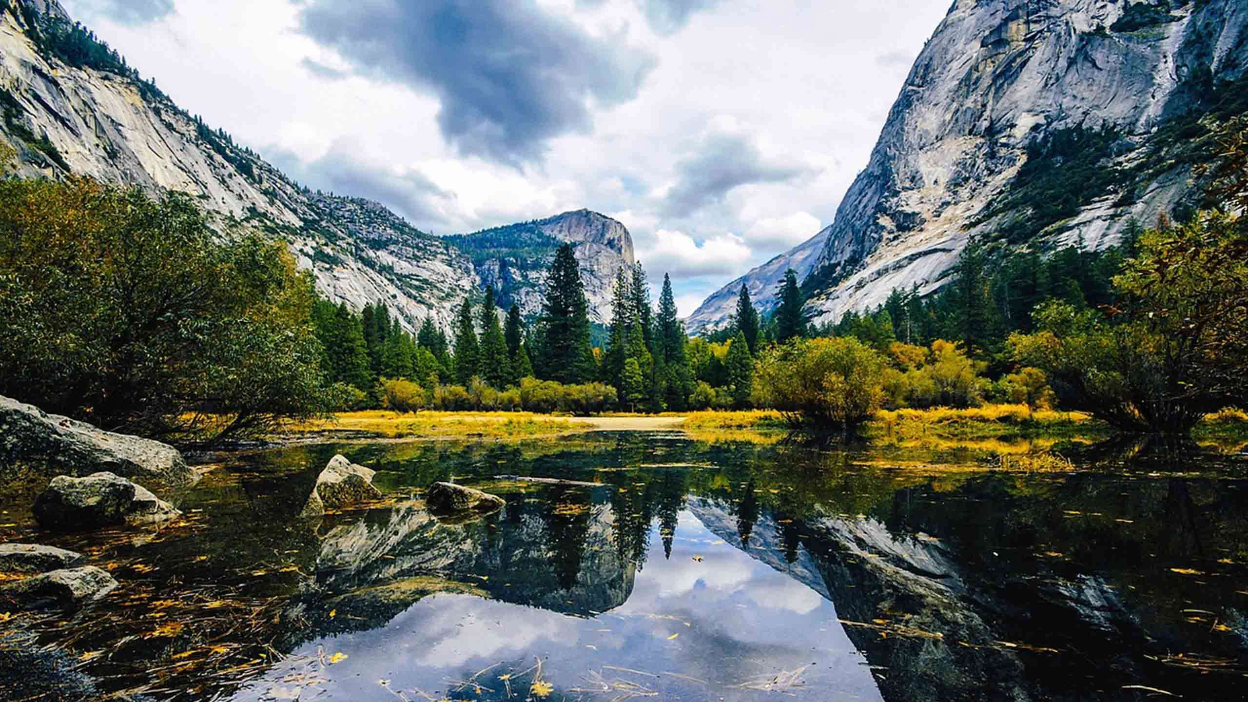 Best of Yosemite Valley Walk 5D4N (Springtime Waterfalls & Wildflowers), Fully Guided