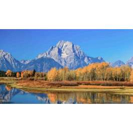 Wyoming's Yellowstone Grand Tetons Walk 6D5N, Fully Guided