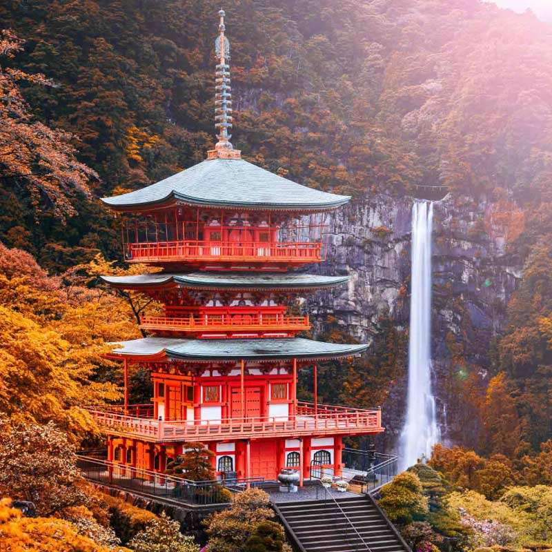 Classic Kumano Kodo Village to Village Walk 5D4N Self Guided