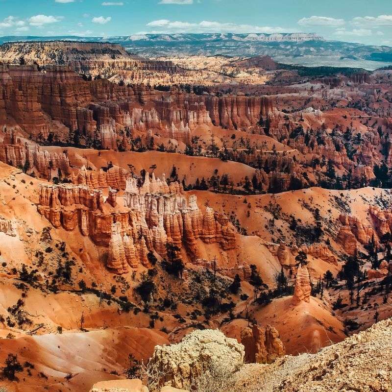 Utah's Bryce Capitol Reef National Parks Walk 5D4N, Fully Guided