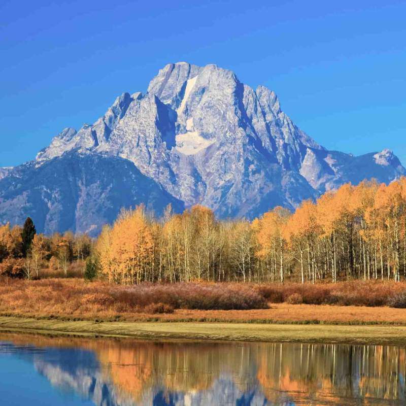 Wyoming's Yellowstone Grand Tetons Walk 6D5N, Fully Guided