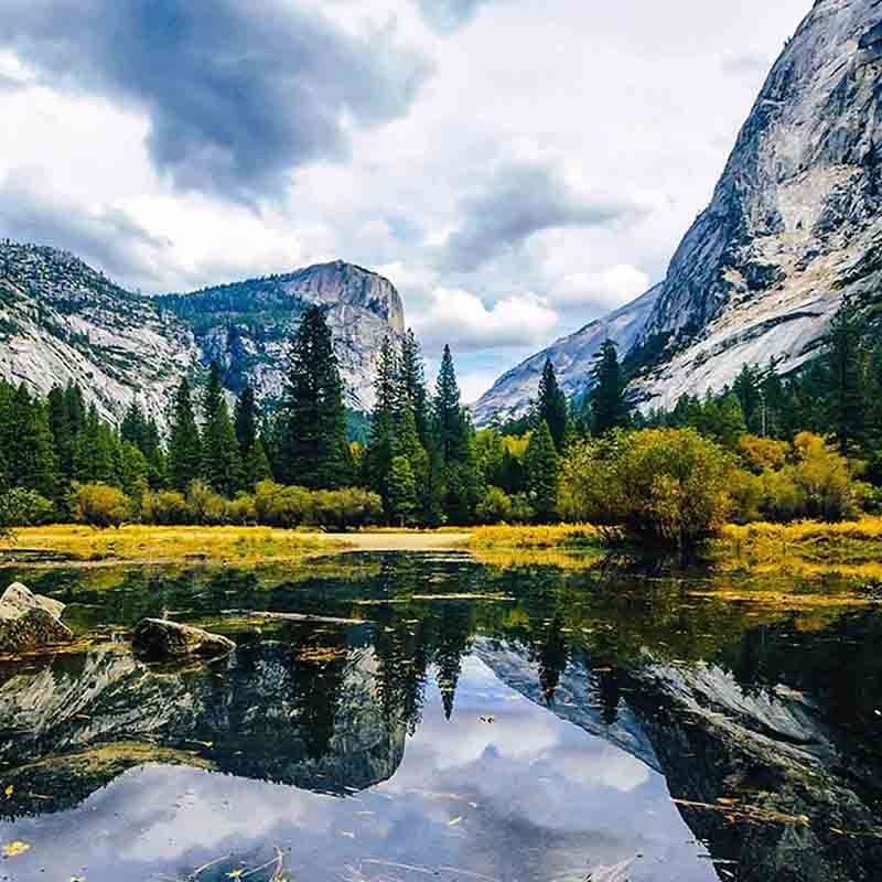 Best of Yosemite Valley Walk 5D4N (Springtime Waterfalls Wildflowers),  Fully Guided