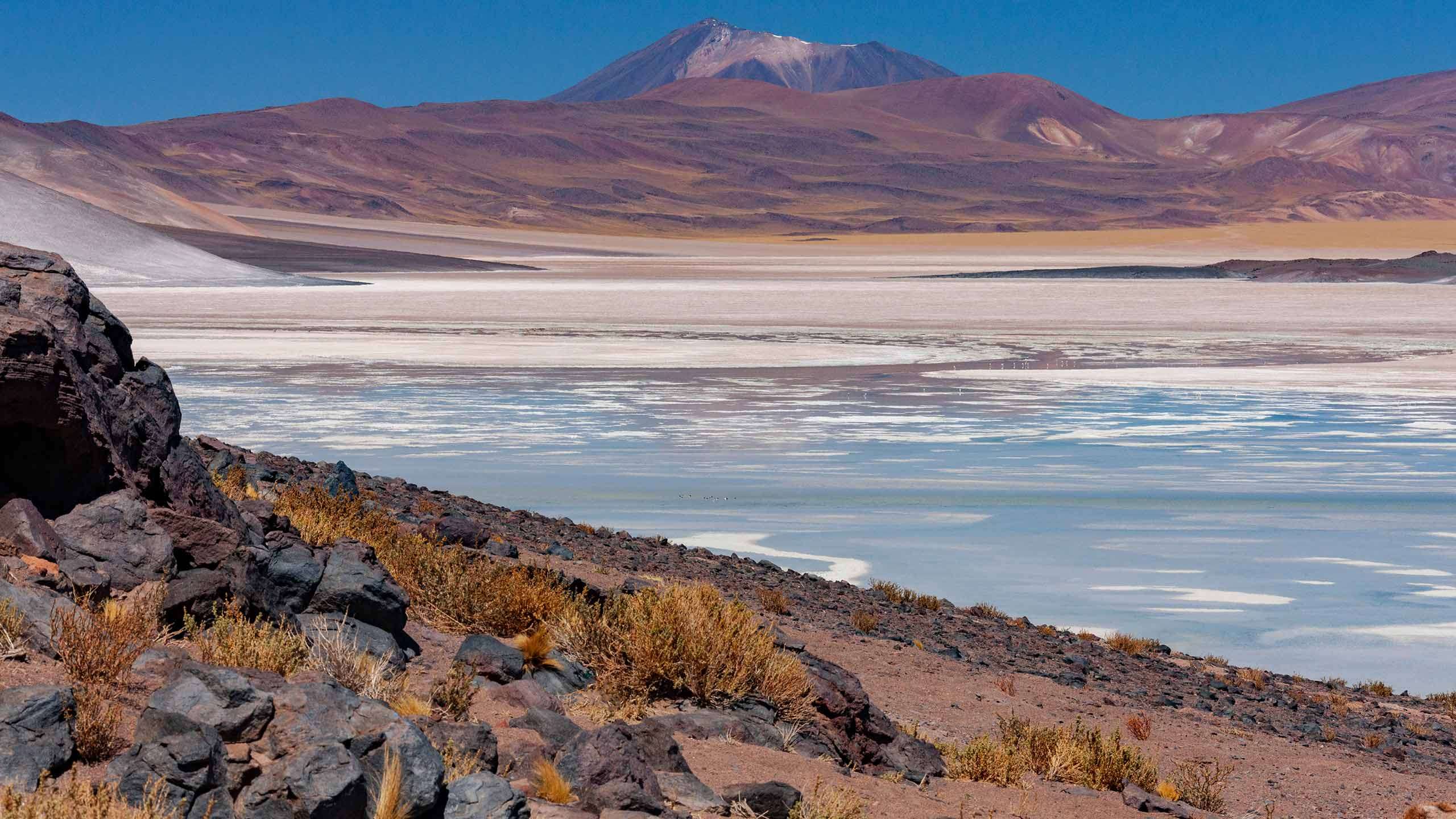 Cycle Chile & Argentina: Atacama to Salta 13D12N (Salt Flats, Rainforest & Desert), Fully Guided