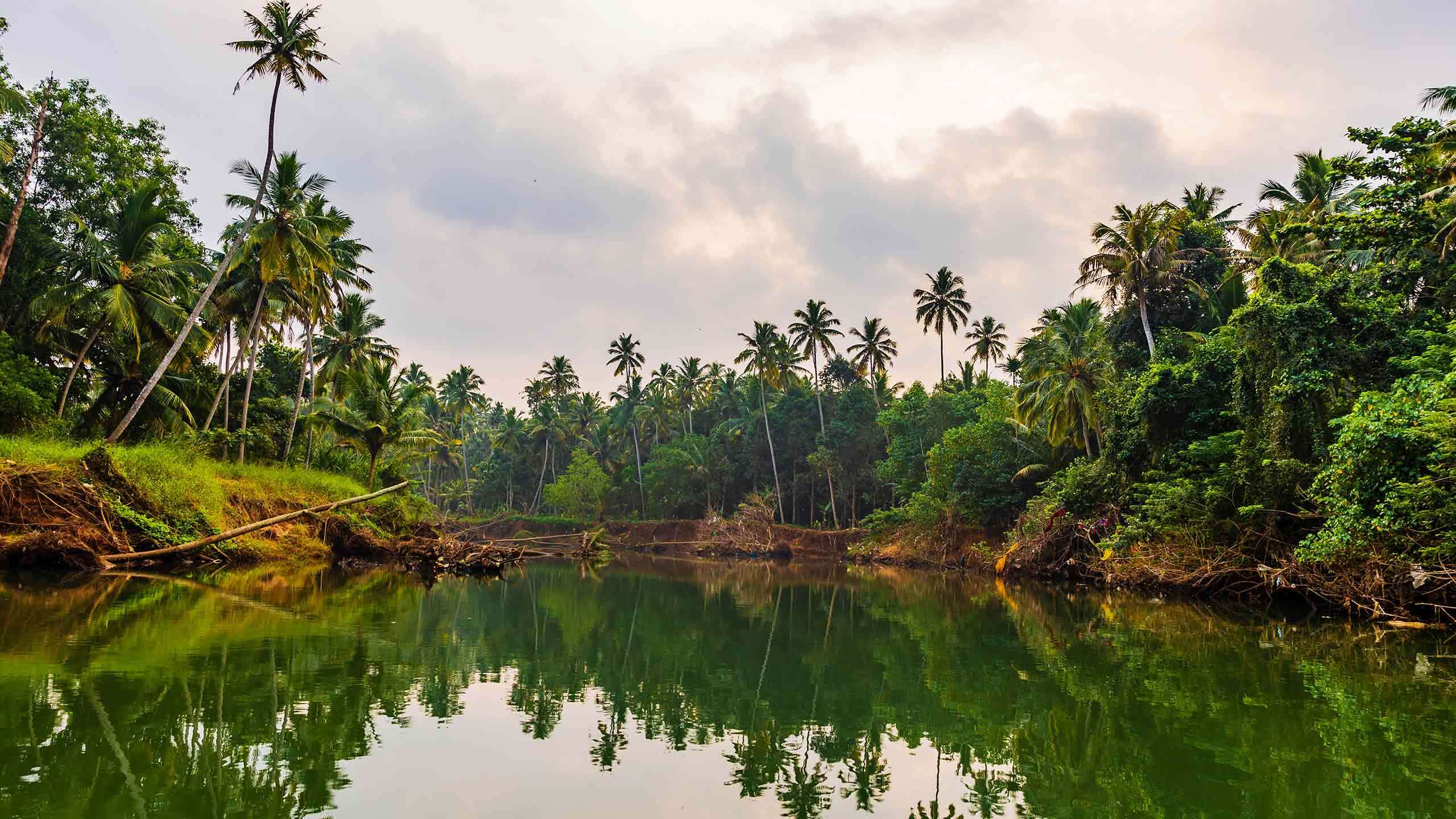 Southern India Coast to Coast Cycle (Tamil Nadu & Kerala) 14D13N, Fully Guided
