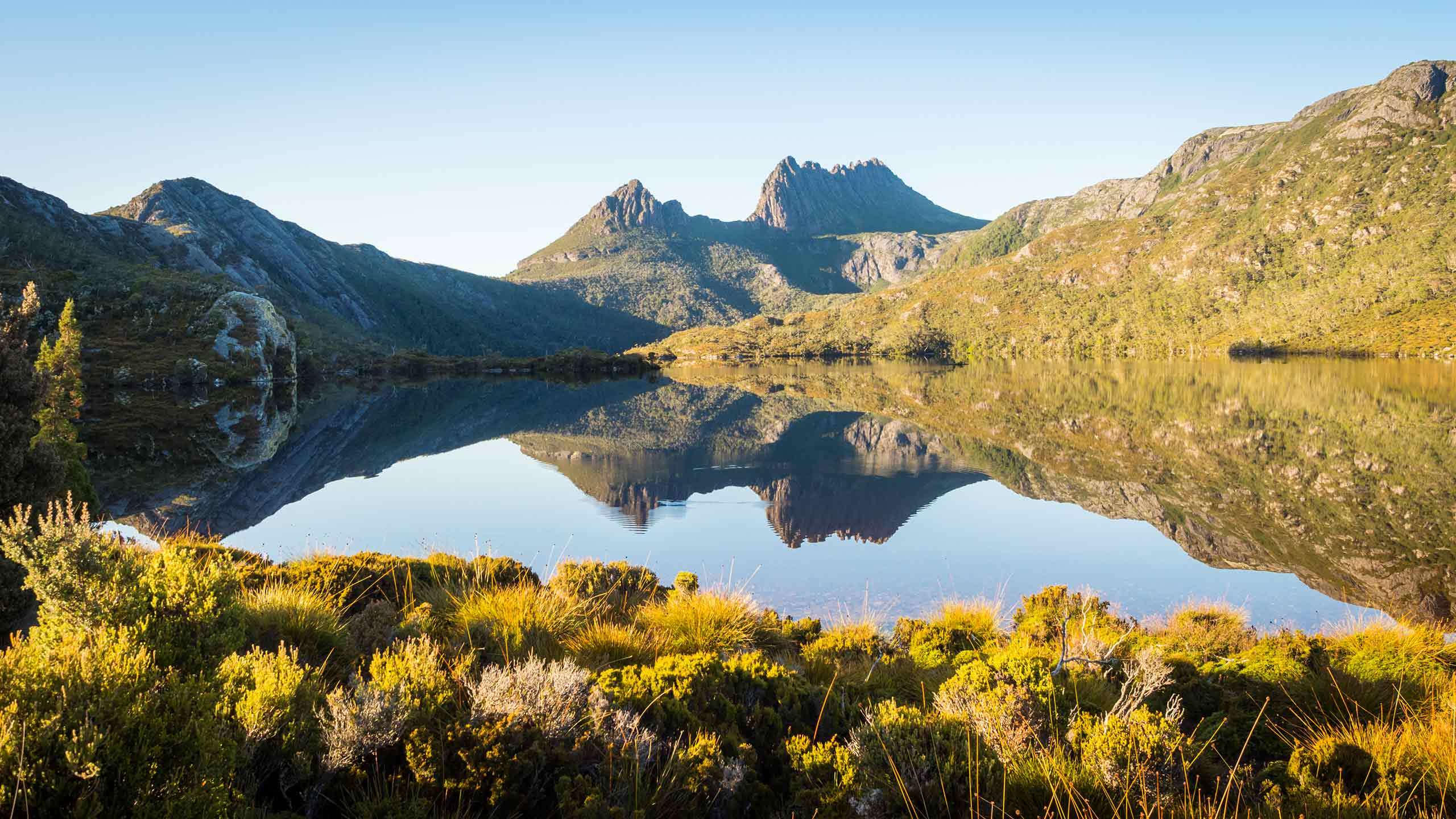 Tasmania's Tarkine & Cradle Mountain Walk 6D5N, Fully Guided