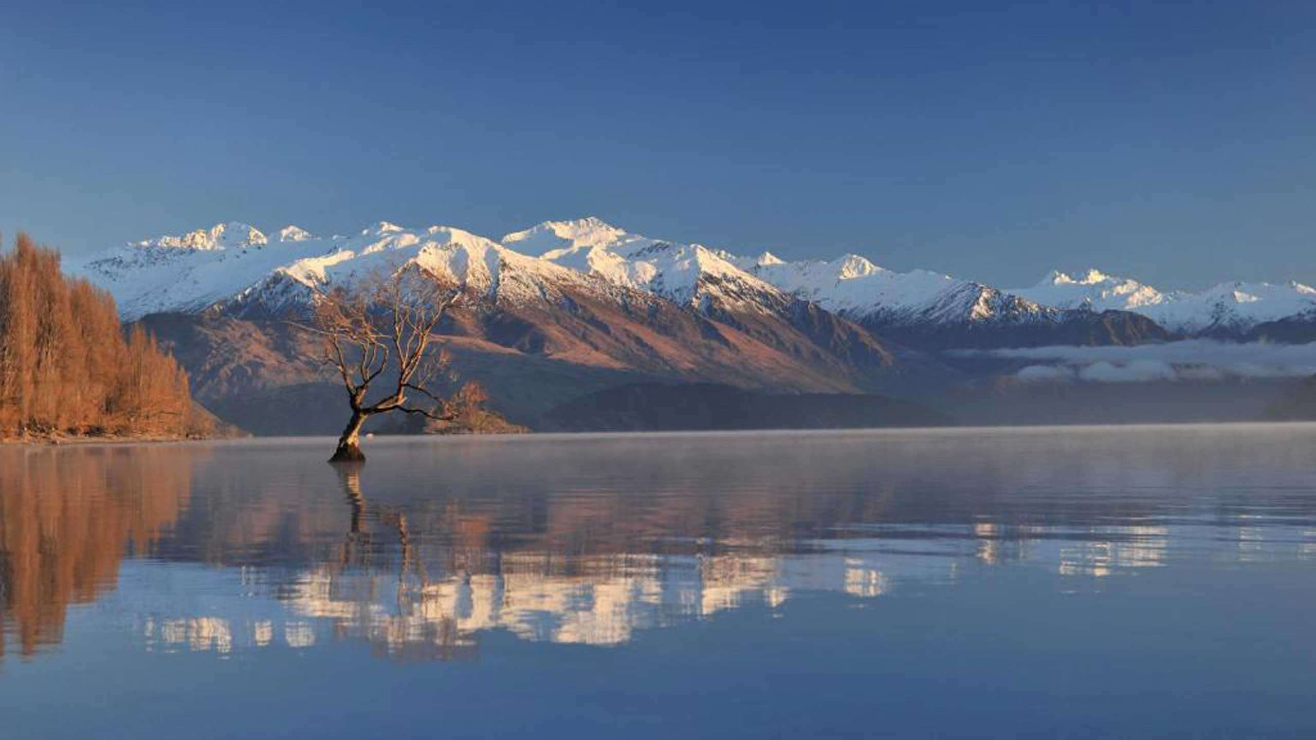Ultimate Scenic South Island Road Trip, Self-Drive