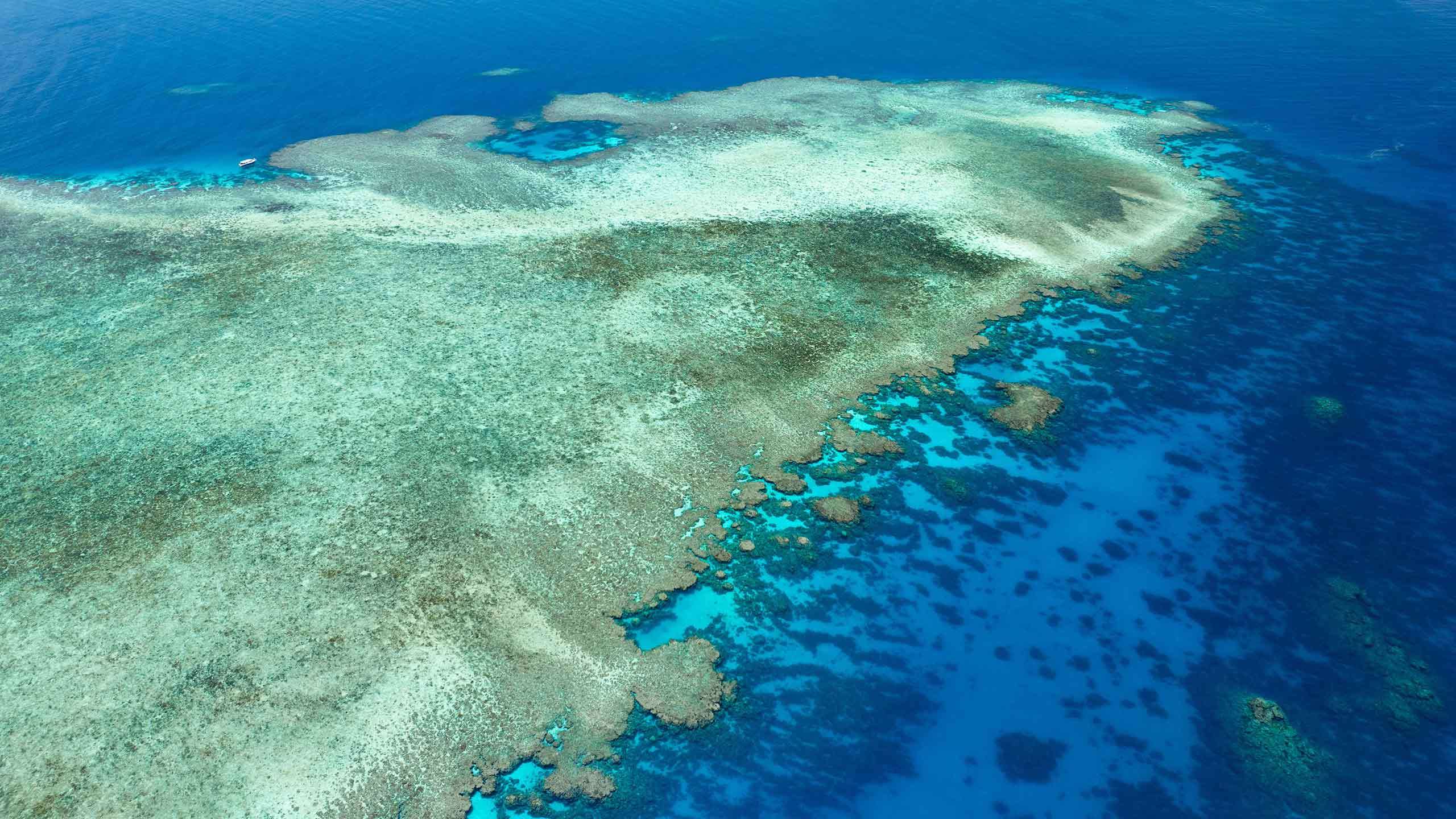 Ultimate Luxury Silky Oaks Lodge Reef & Rainforest 4D3N