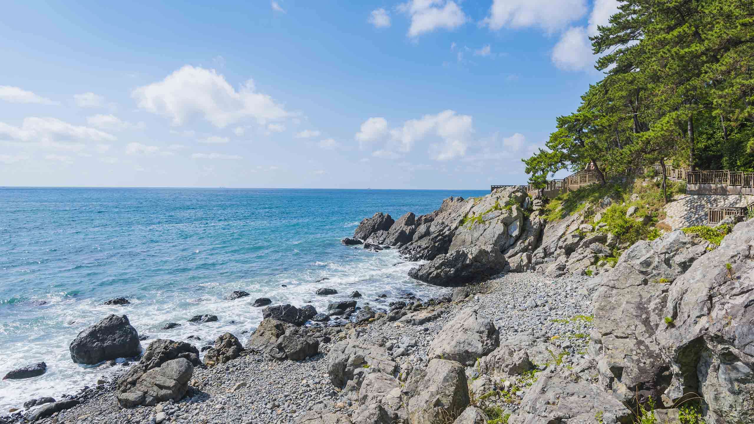South Korea Culinary Adventure 8D7N, Fully Guided