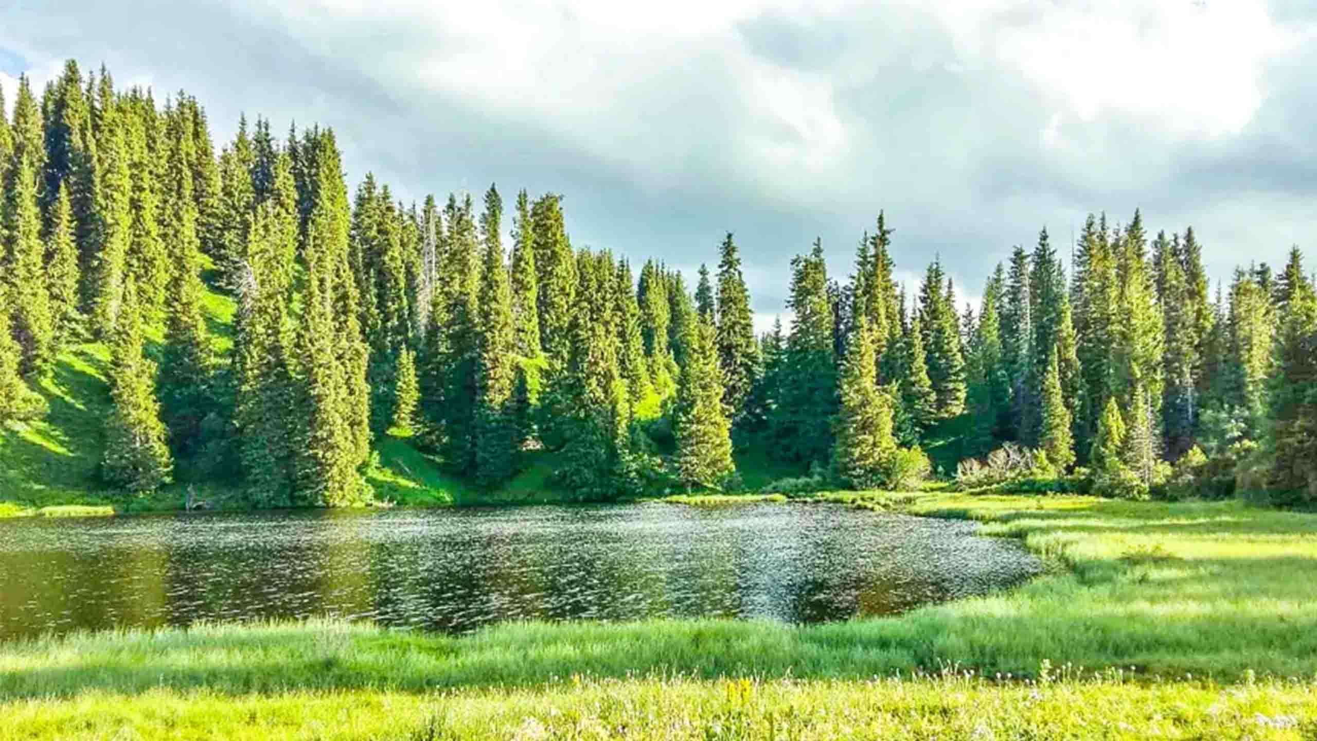 Kyrgyzstan Explorer Walk (Mountains, Villages & Alpine Lakes) 10D9N, Guided