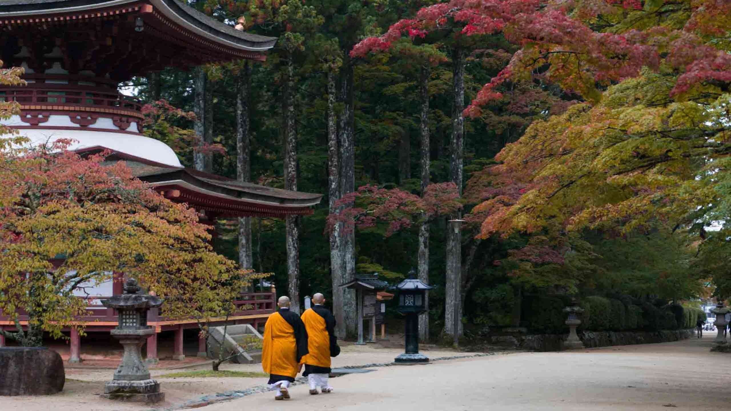 Luxury Japan Active Explorer (Nakasendo & Koyasan) 14D13N, Partially Guided