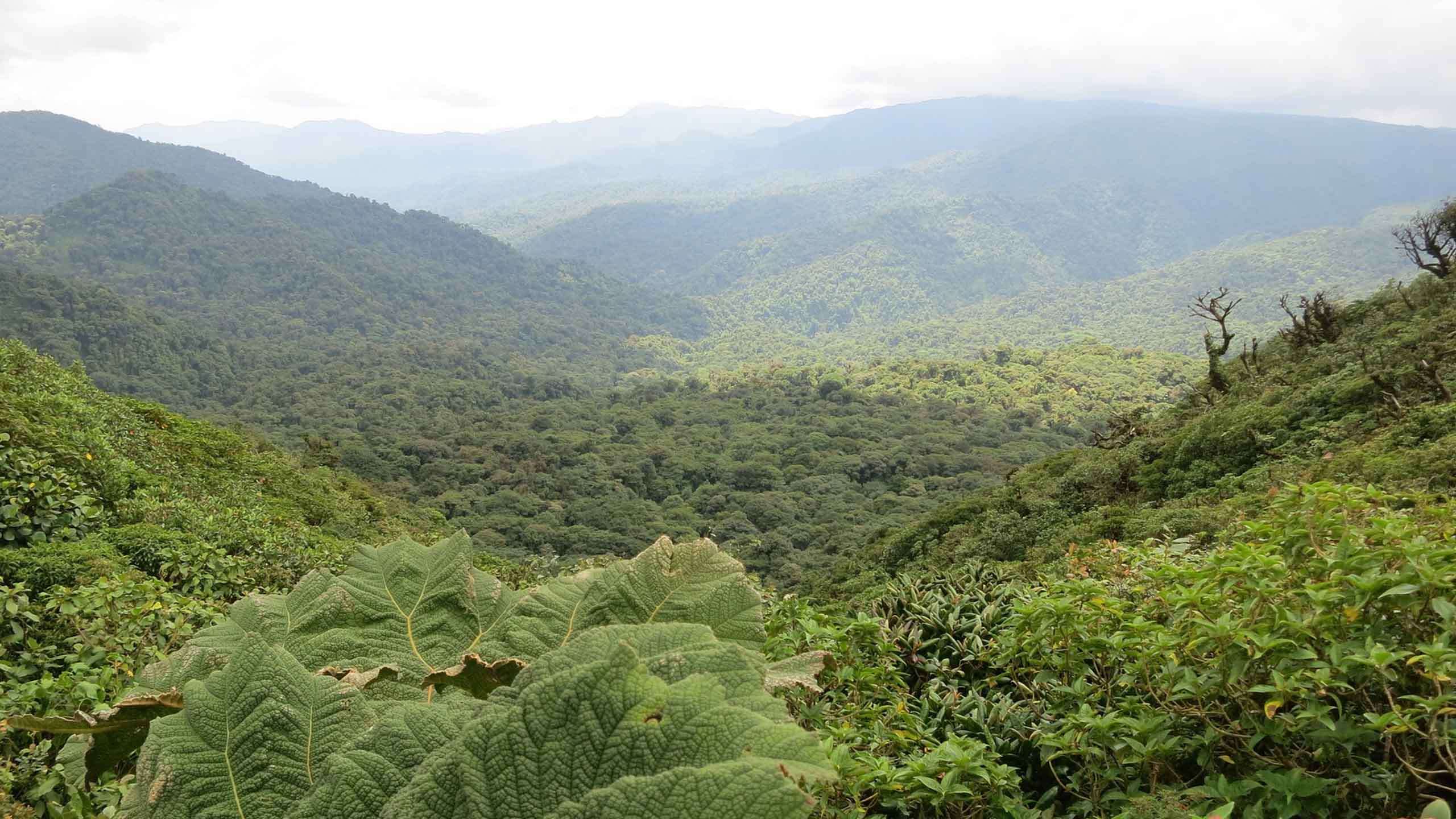 Costa Rica Highlands to Coast Multi Adventure (Hike, Bike & Rafting) 7D6N, Fully Guided