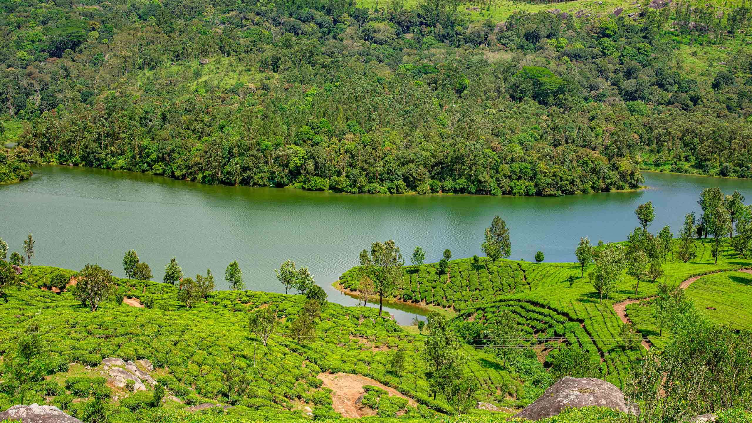 Spice Trails of Kerala & Tamil Nadu Walk15D14N, Fully Guided