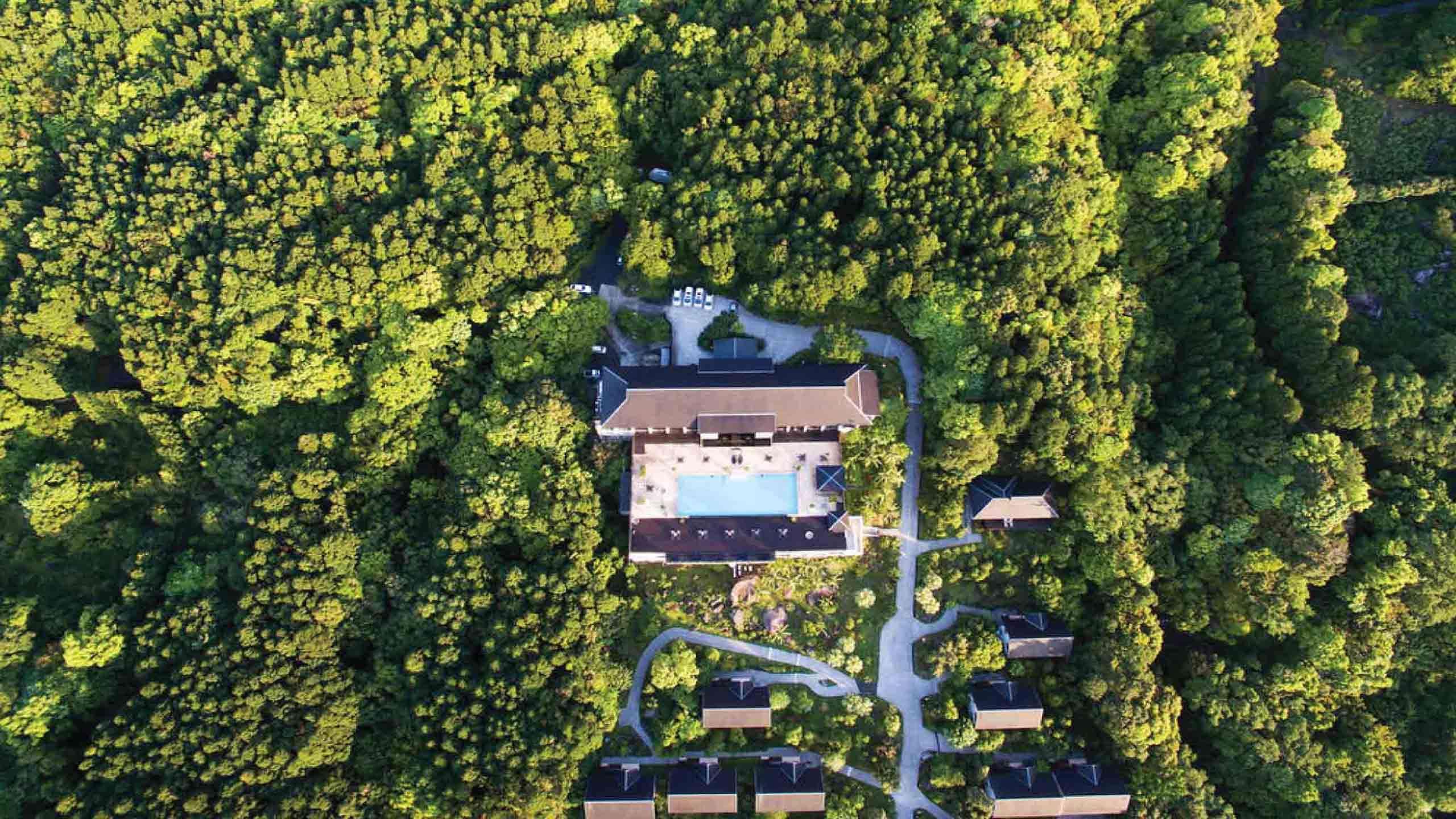 The Ultimate Luxury Yakushima Trio Adventure (Walk, Cycle & Kayak) 5D4N, Guided