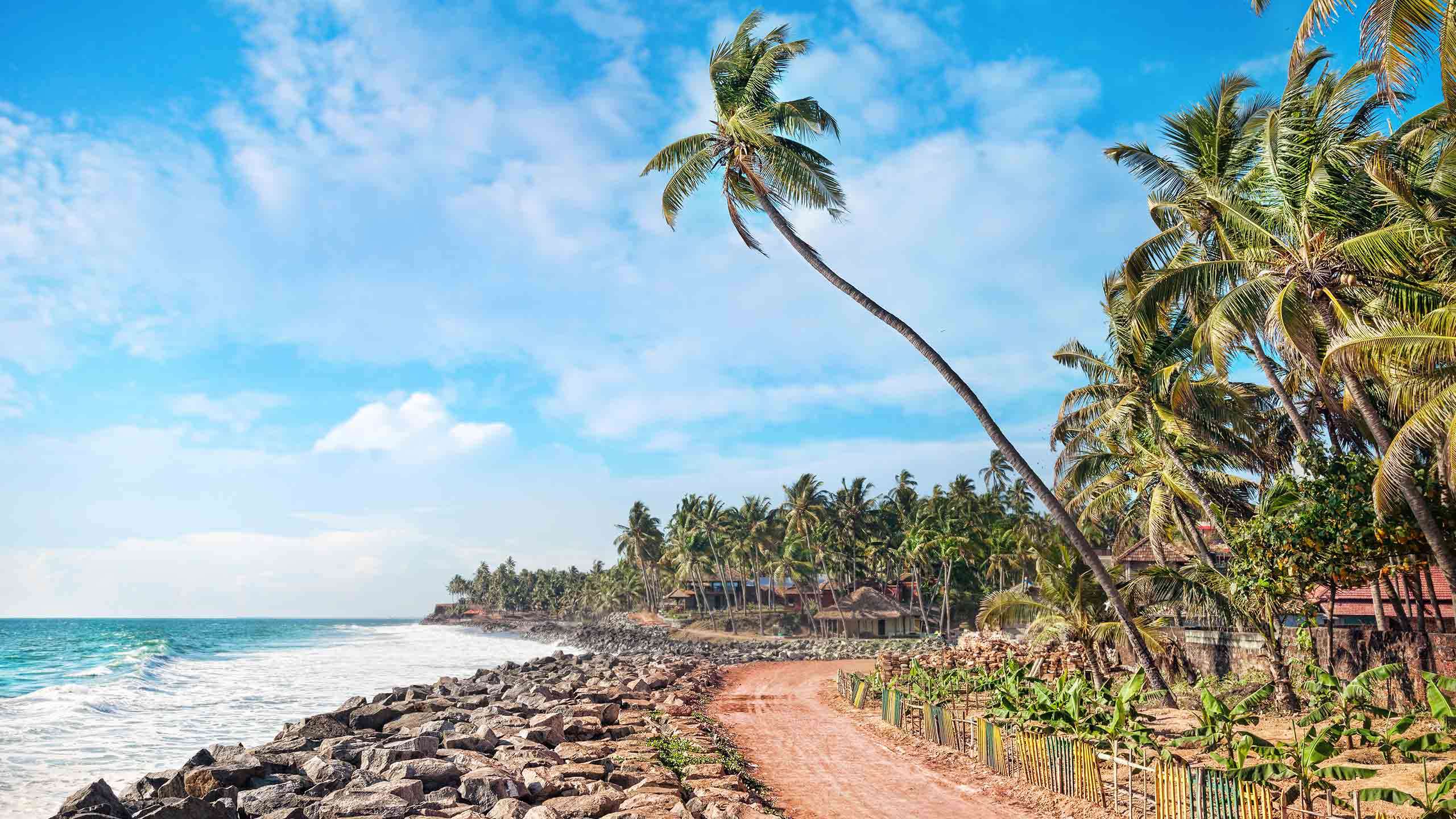 India's Coast of Kerala Cycle 8D7N (Coastlines & Backwaters Houseboat), Fully Guided