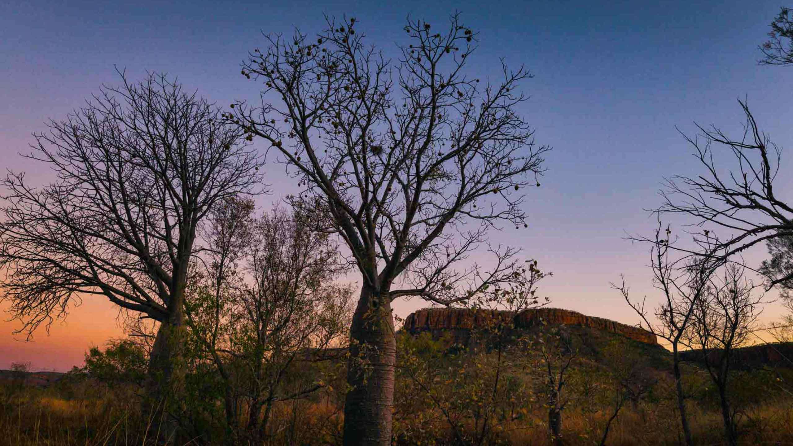 Wild Kimberley Loop 11D10N (Broome - Broome), Fully Guided & Camping in Comfort
