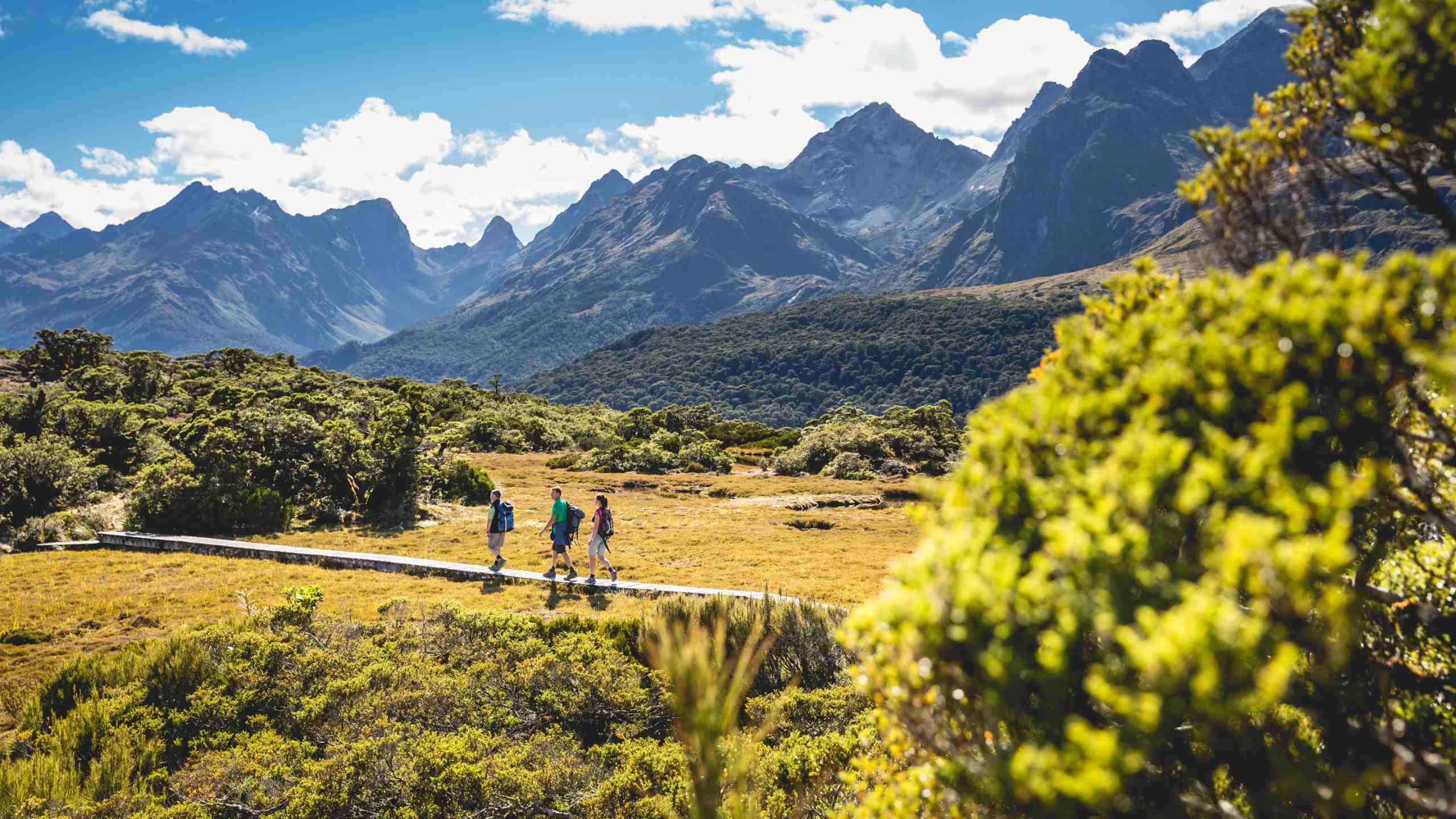 Fiordland National Park