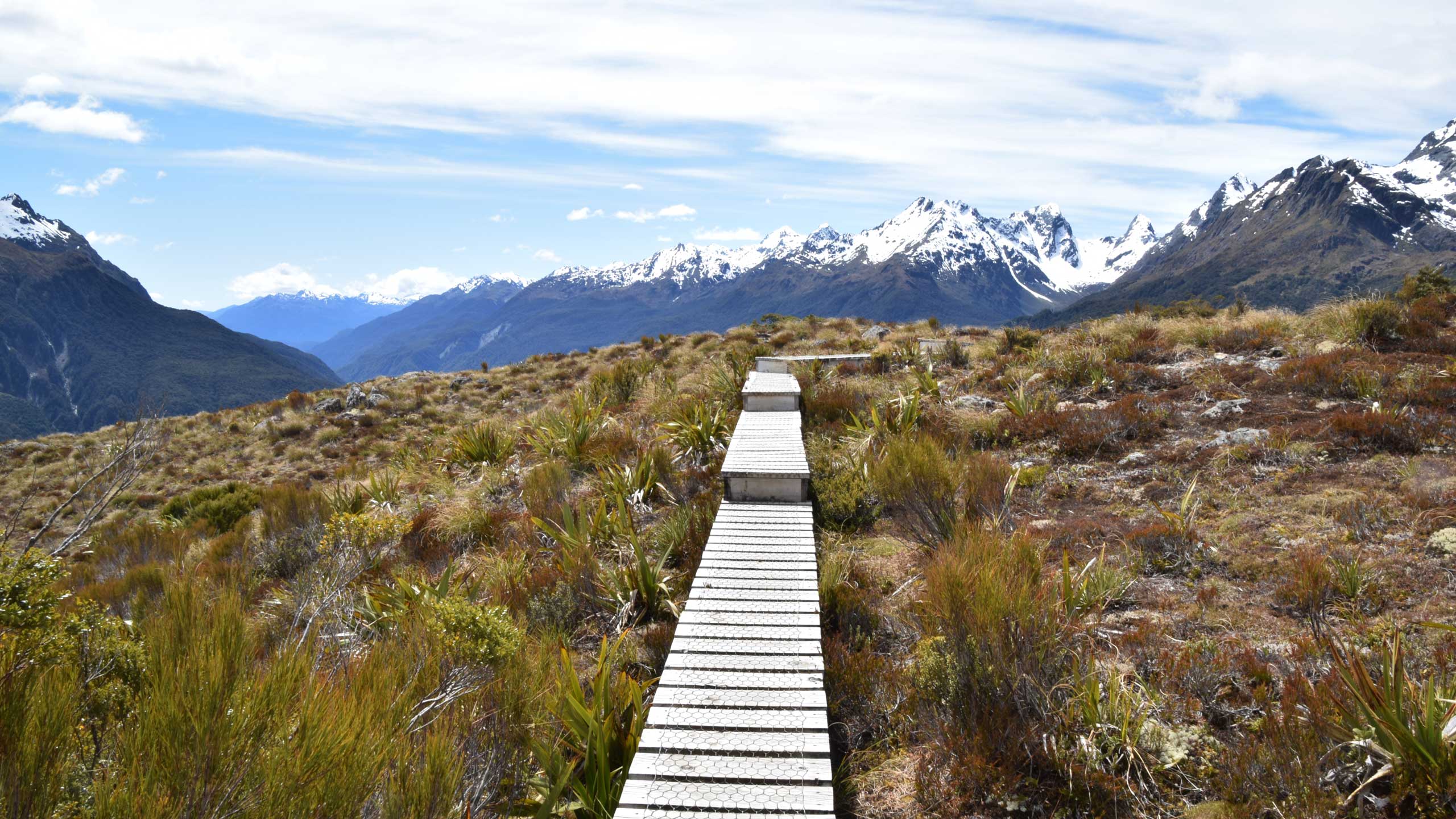 Fiordland-best-walks-hikes-new-zealand